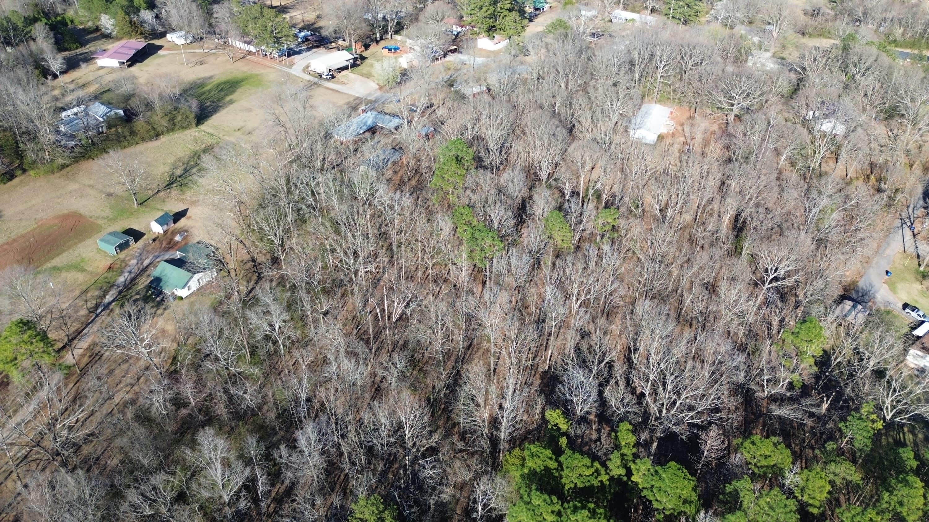 219 Crestview Road – photo 3