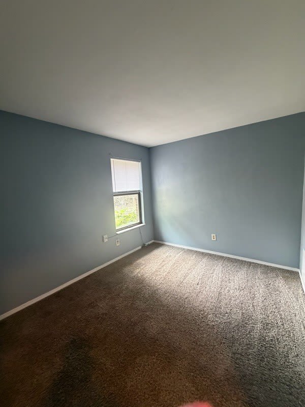 344 Madison – photo 5