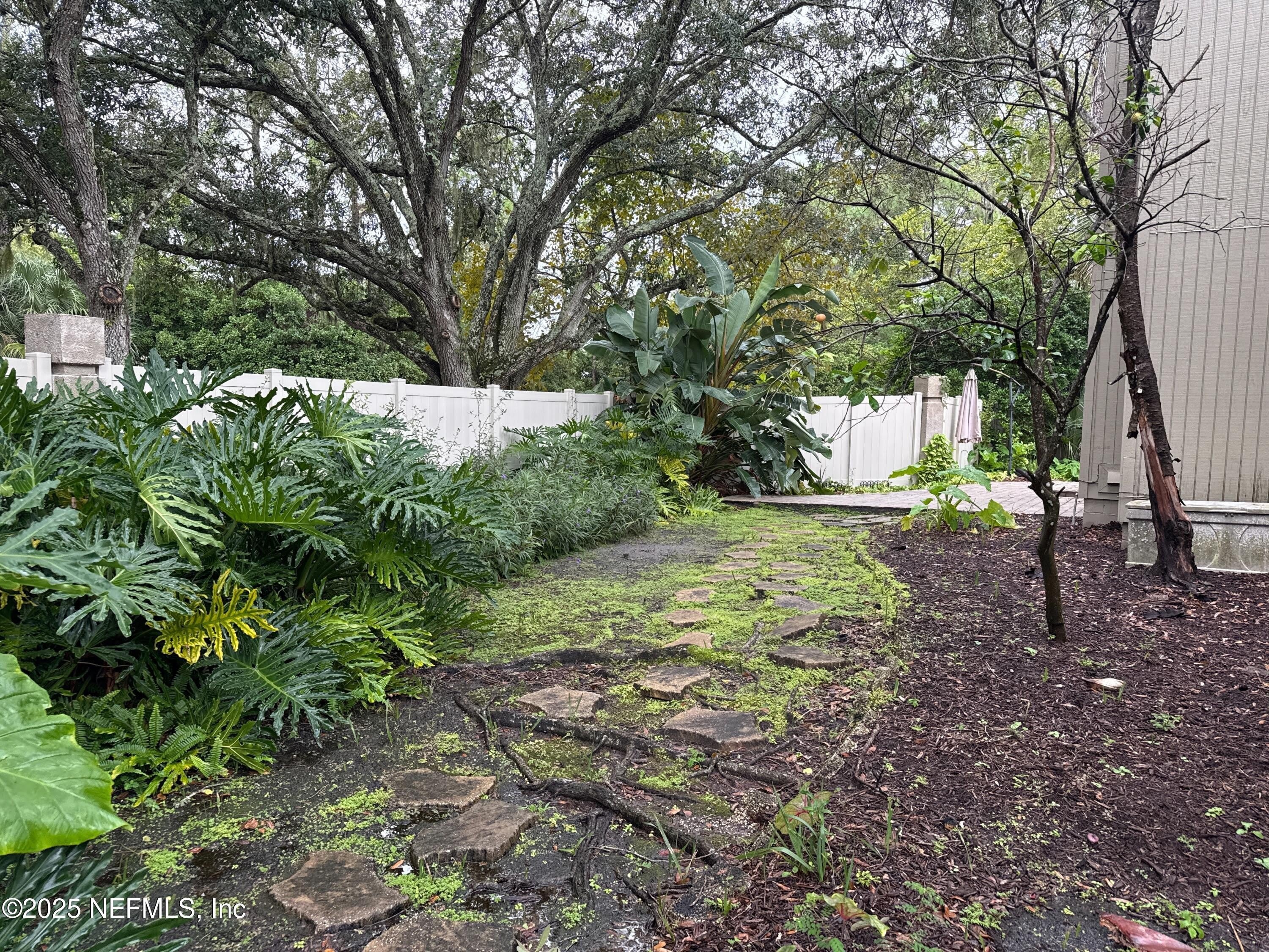 1 TURTLEBACK Trail – photo 2