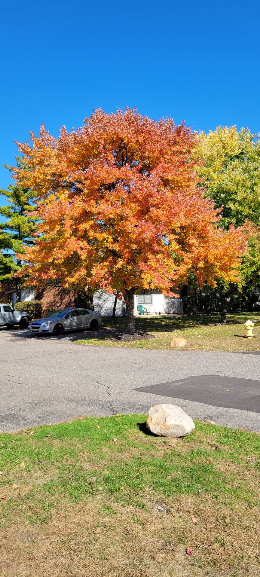 Waterbury Estates – photo 5