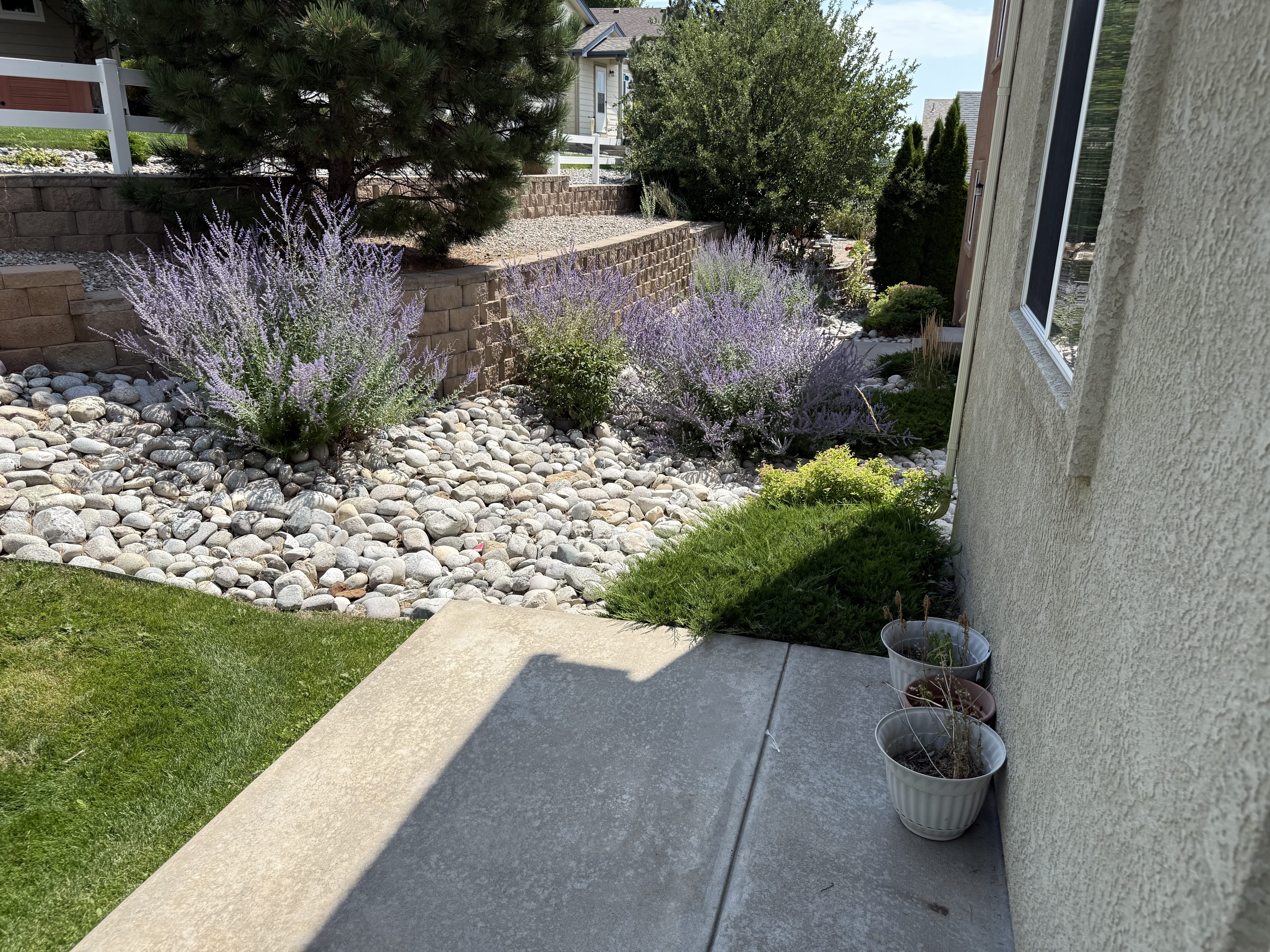 7416 Falconer View – photo 3