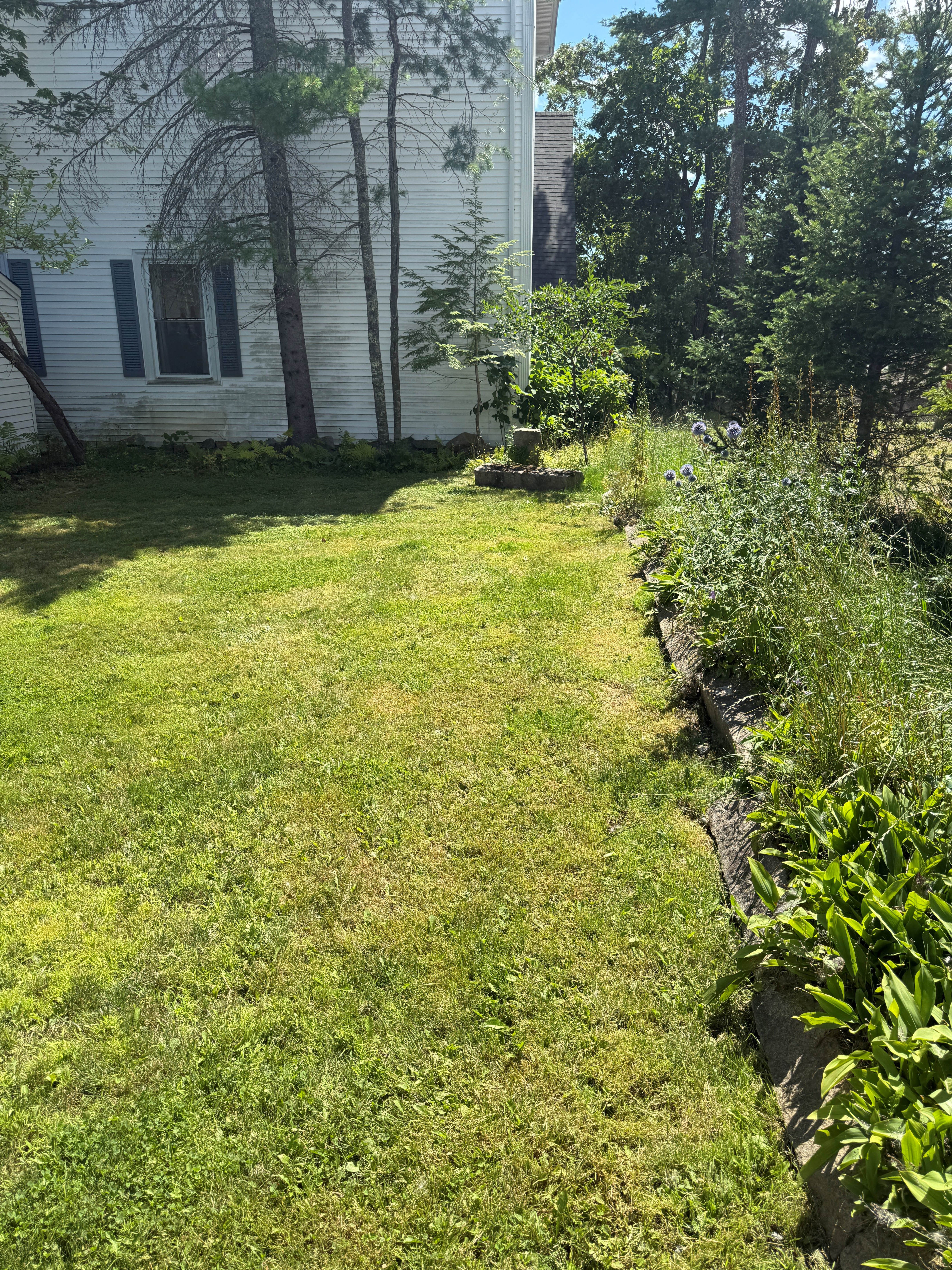 14 Court Street – photo 3