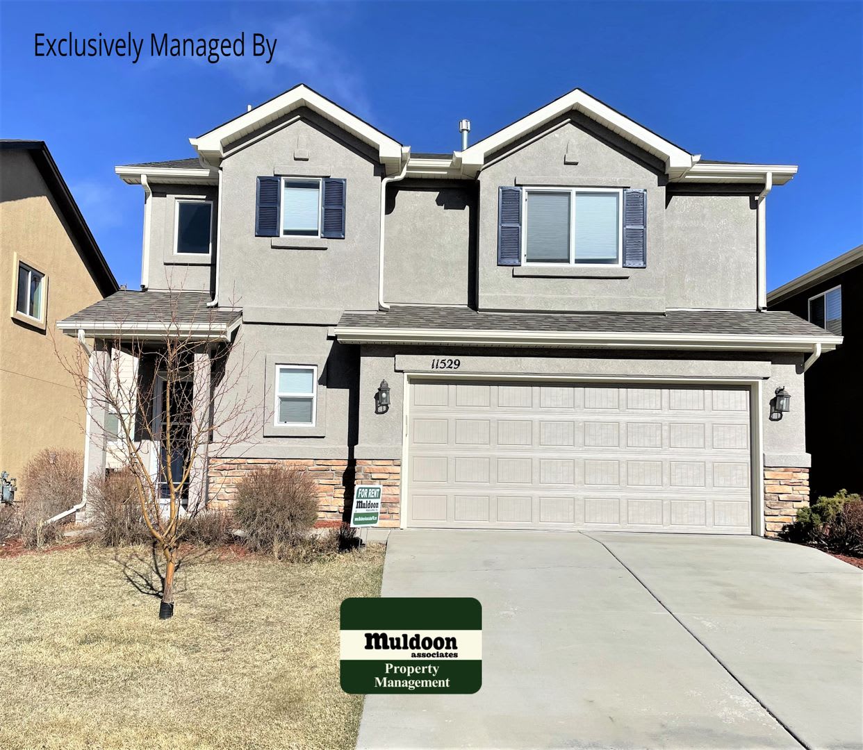 Beautiful Pet Friendly Home in North Colorado Springs Home is staged and ready to move in! – photo 1