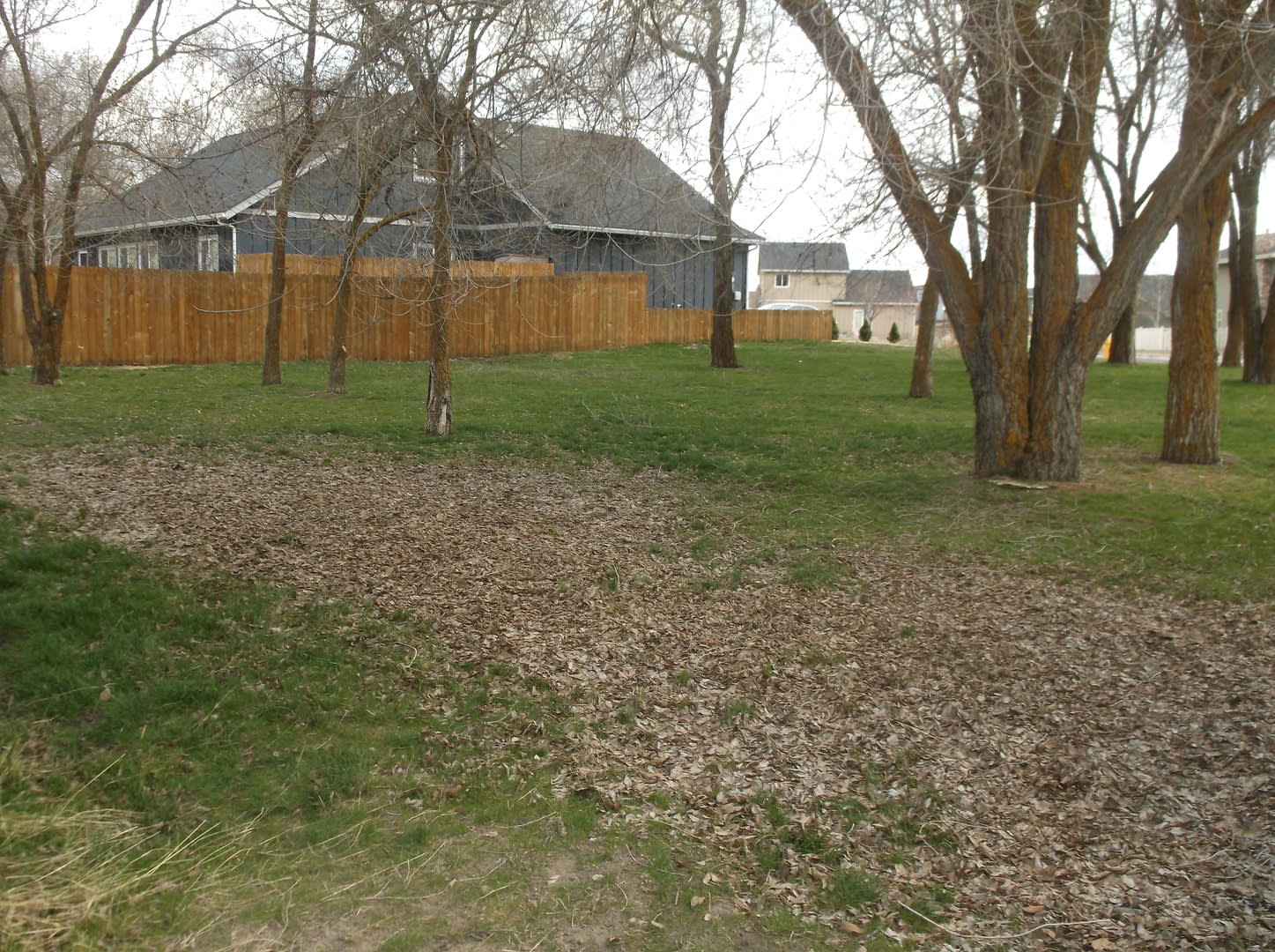 812 W Oregon Ave – photo 5