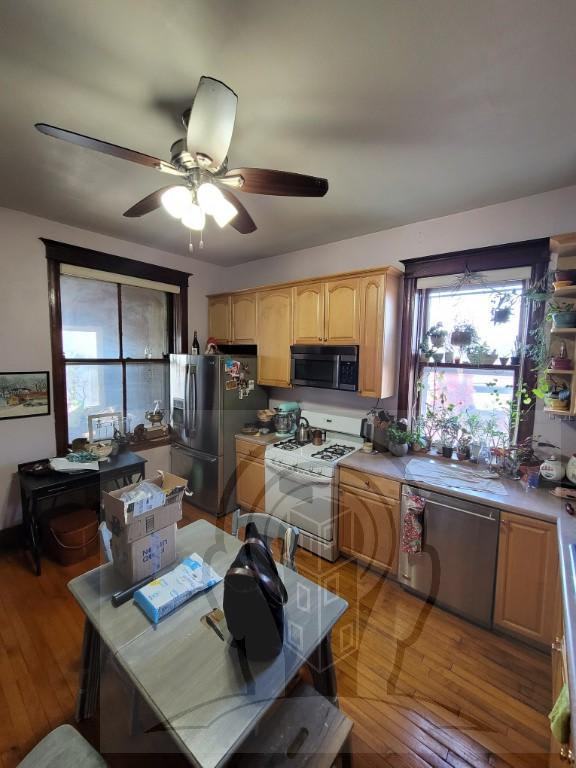 2627 W WALTON ST. – photo 5