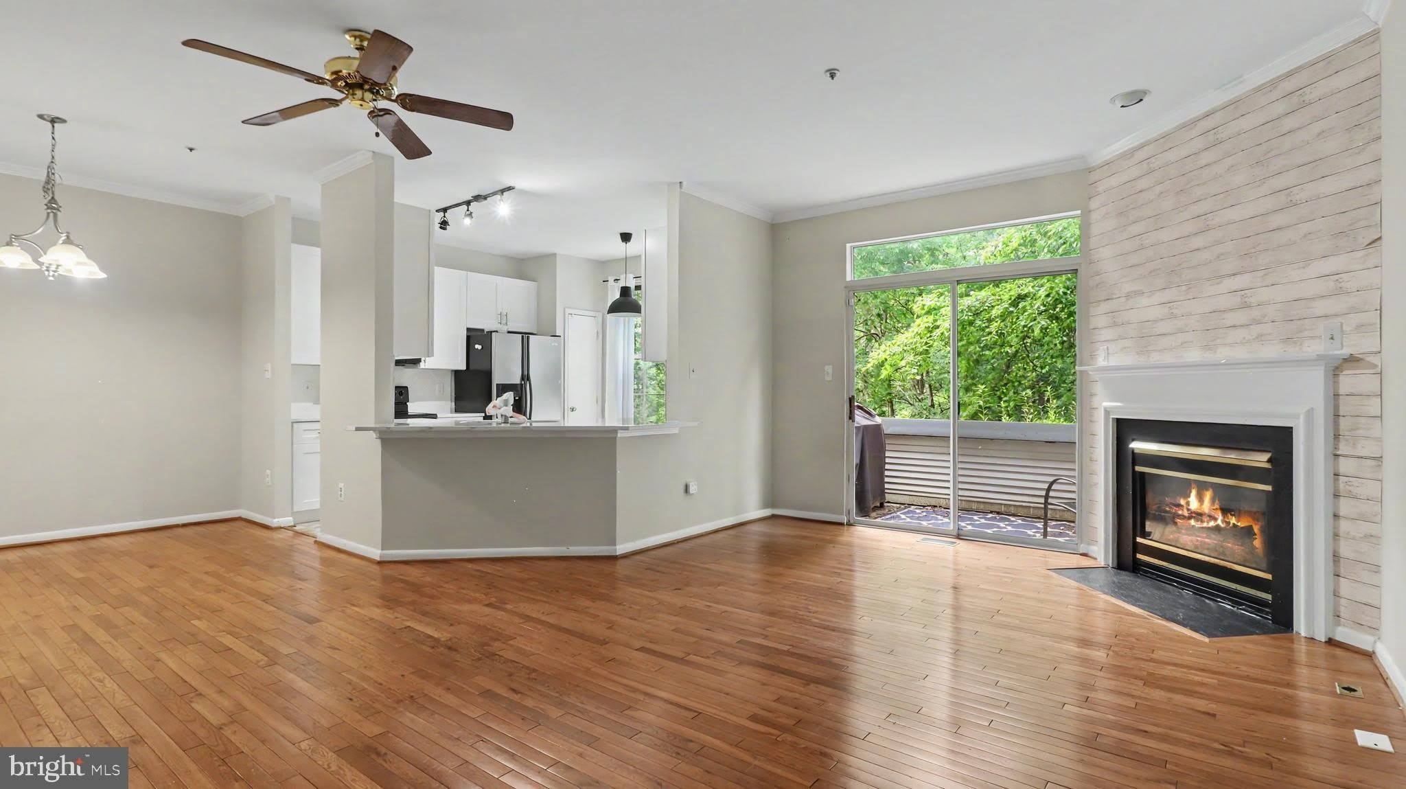 10225 COVE LEDGE Court – photo 3