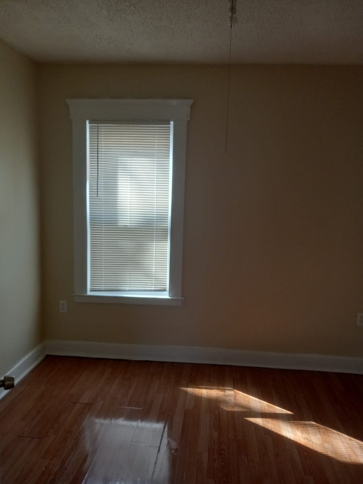 48 Hurlburt Street – photo 2