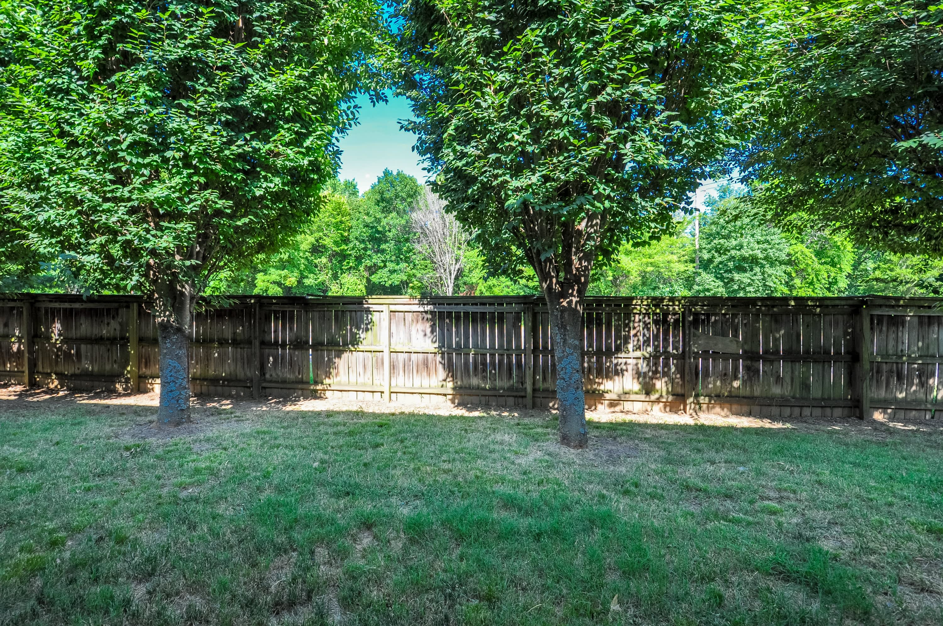 1446 West Netherland Way – photo 5