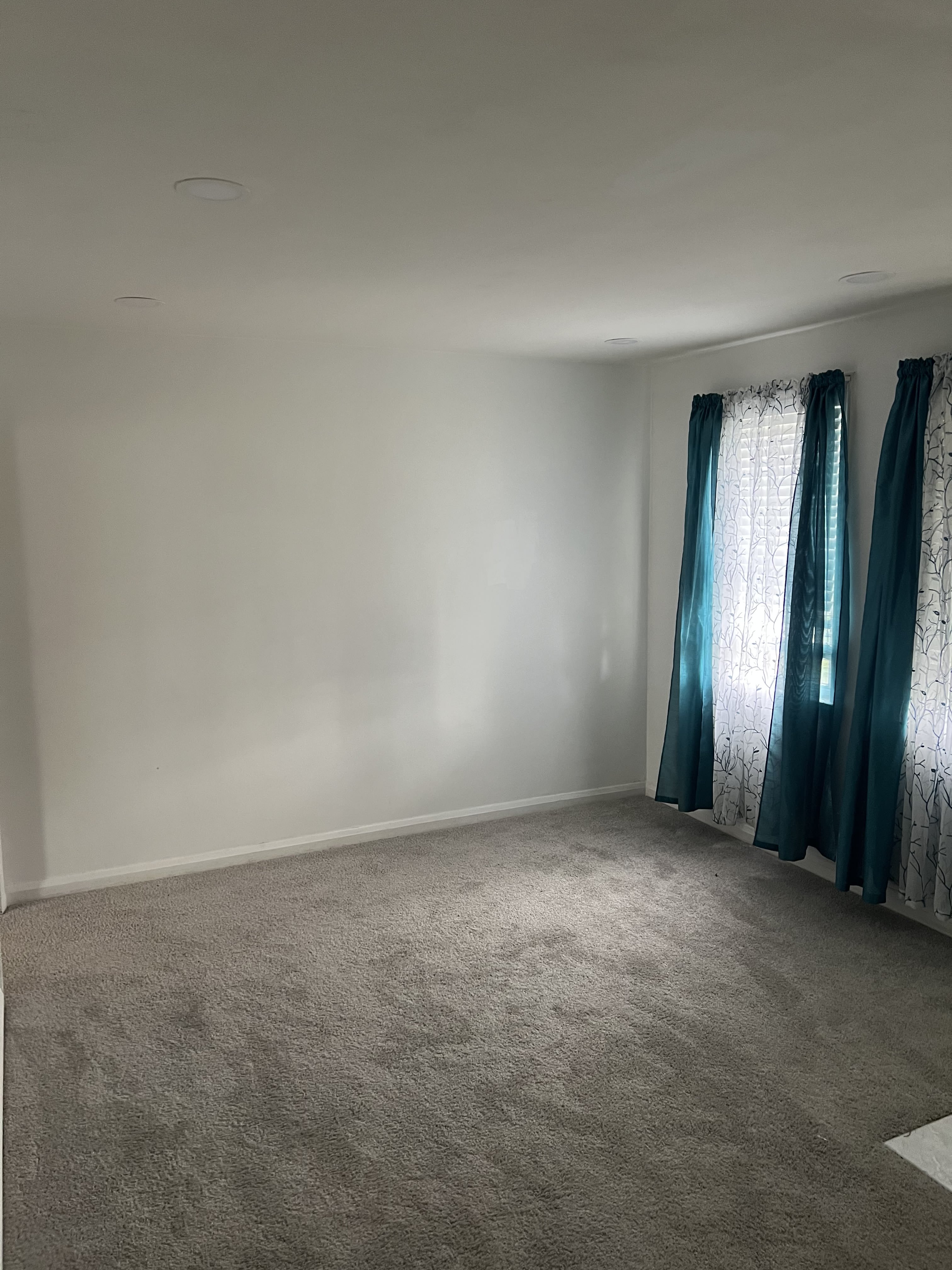 7230 Conley St – photo 2