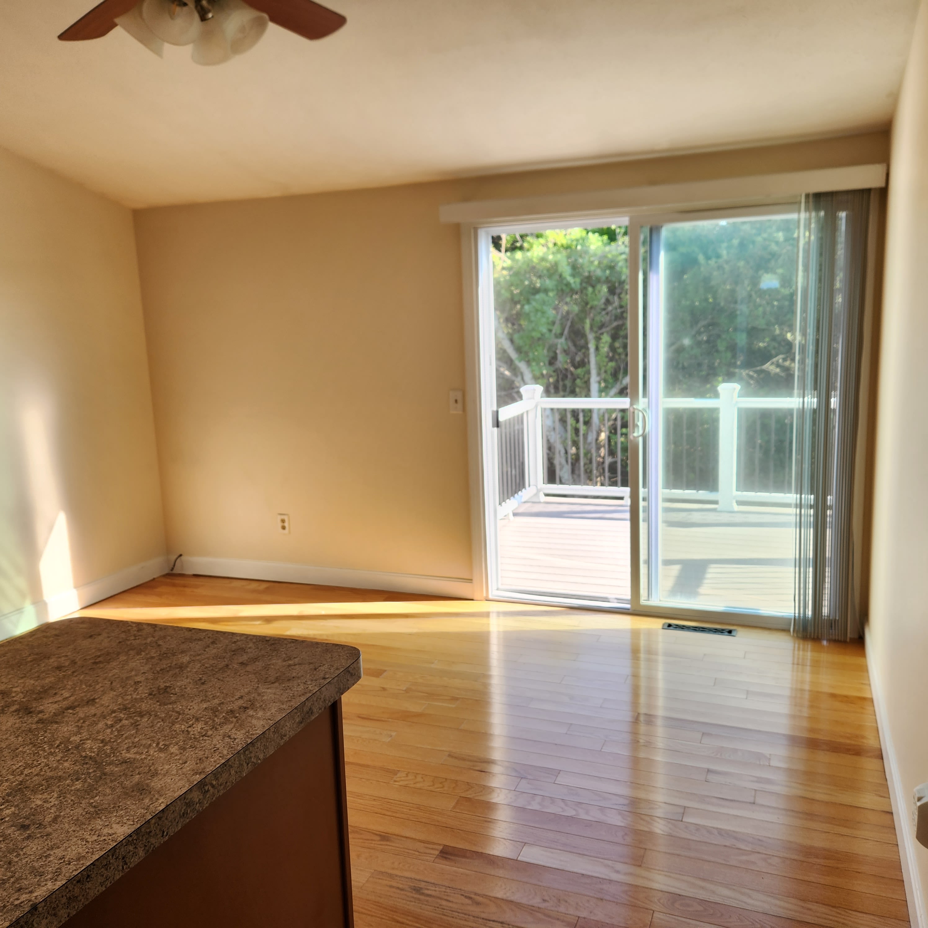 58 N Shore Blvd – photo 4