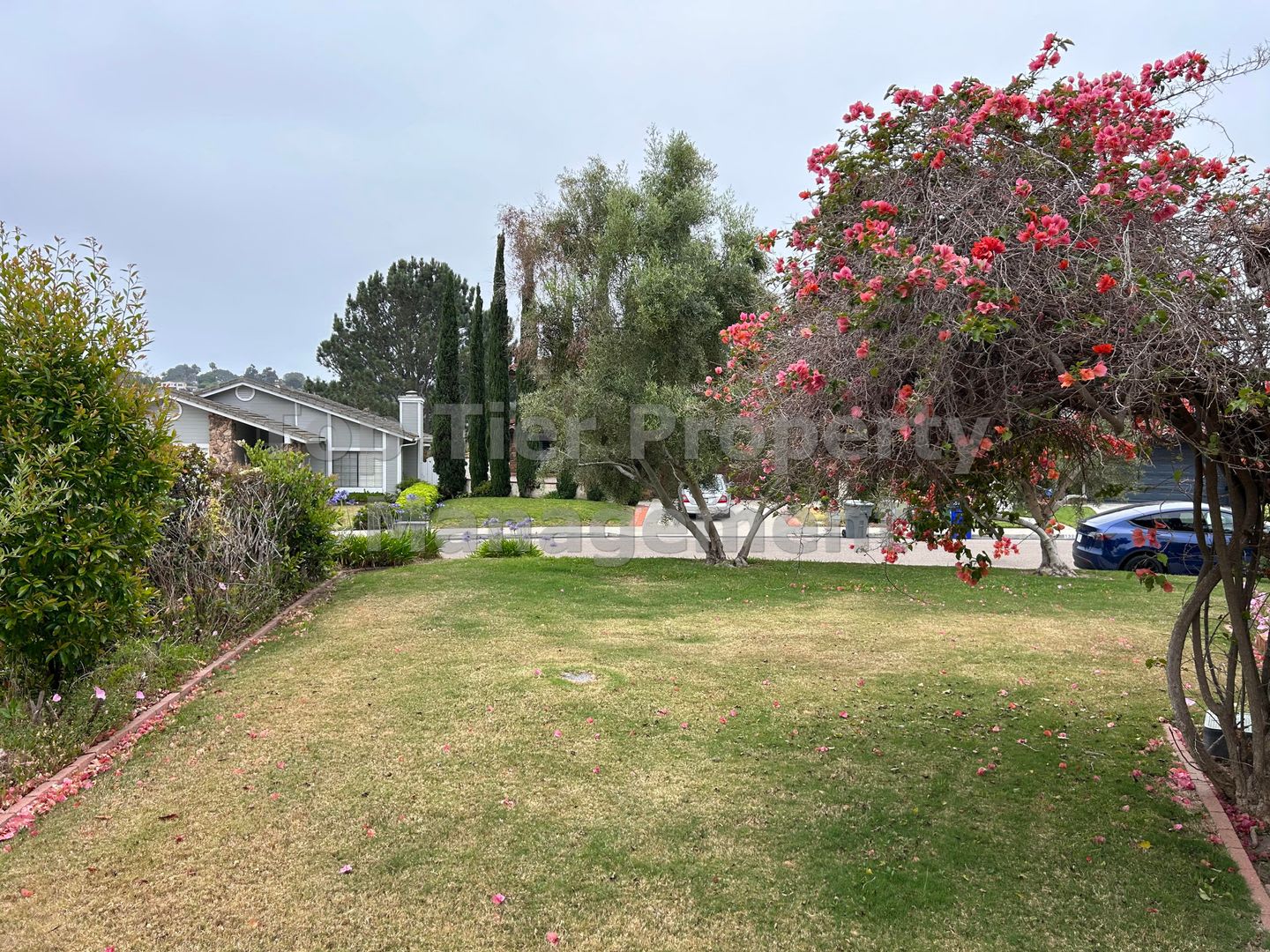 ***Remodeled House in Encinitas – photo 3