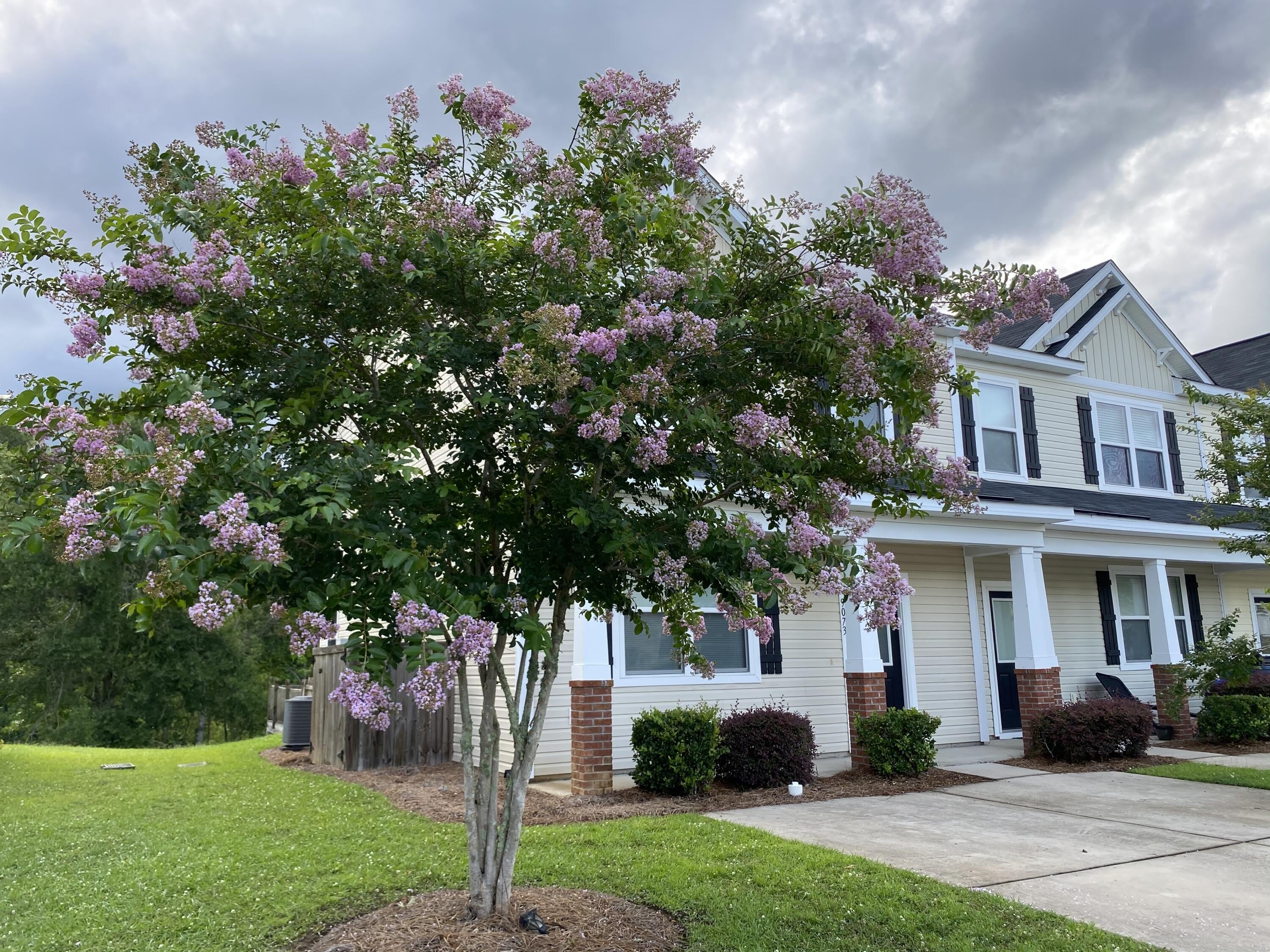 9073 Parlor Drive – photo 3