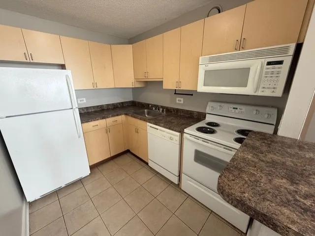 1220 South Michigan Ave. – photo 2