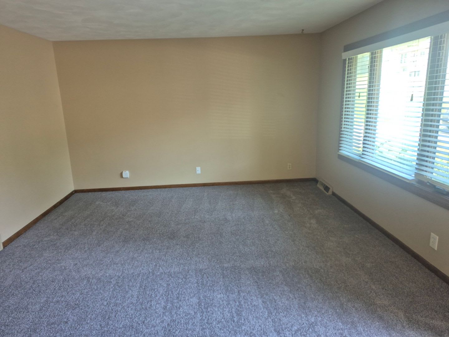 Freshly Updated 3 Bedroom Home For Rent – photo 3
