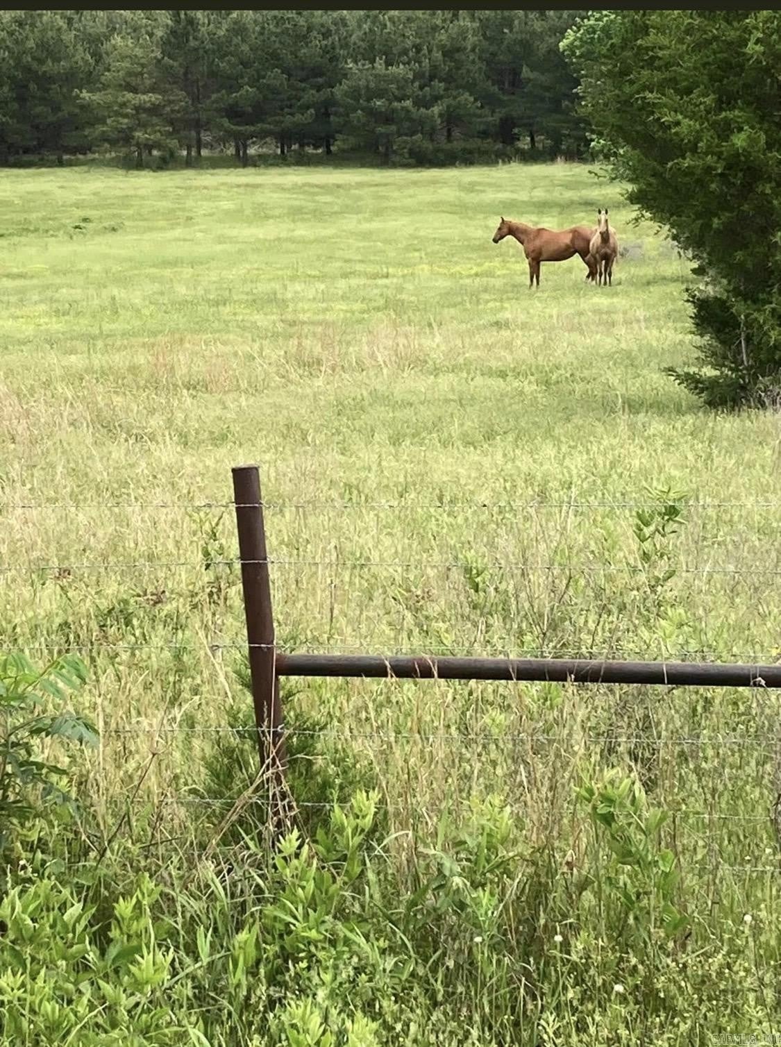 8069 East Hwy 64 – photo 3
