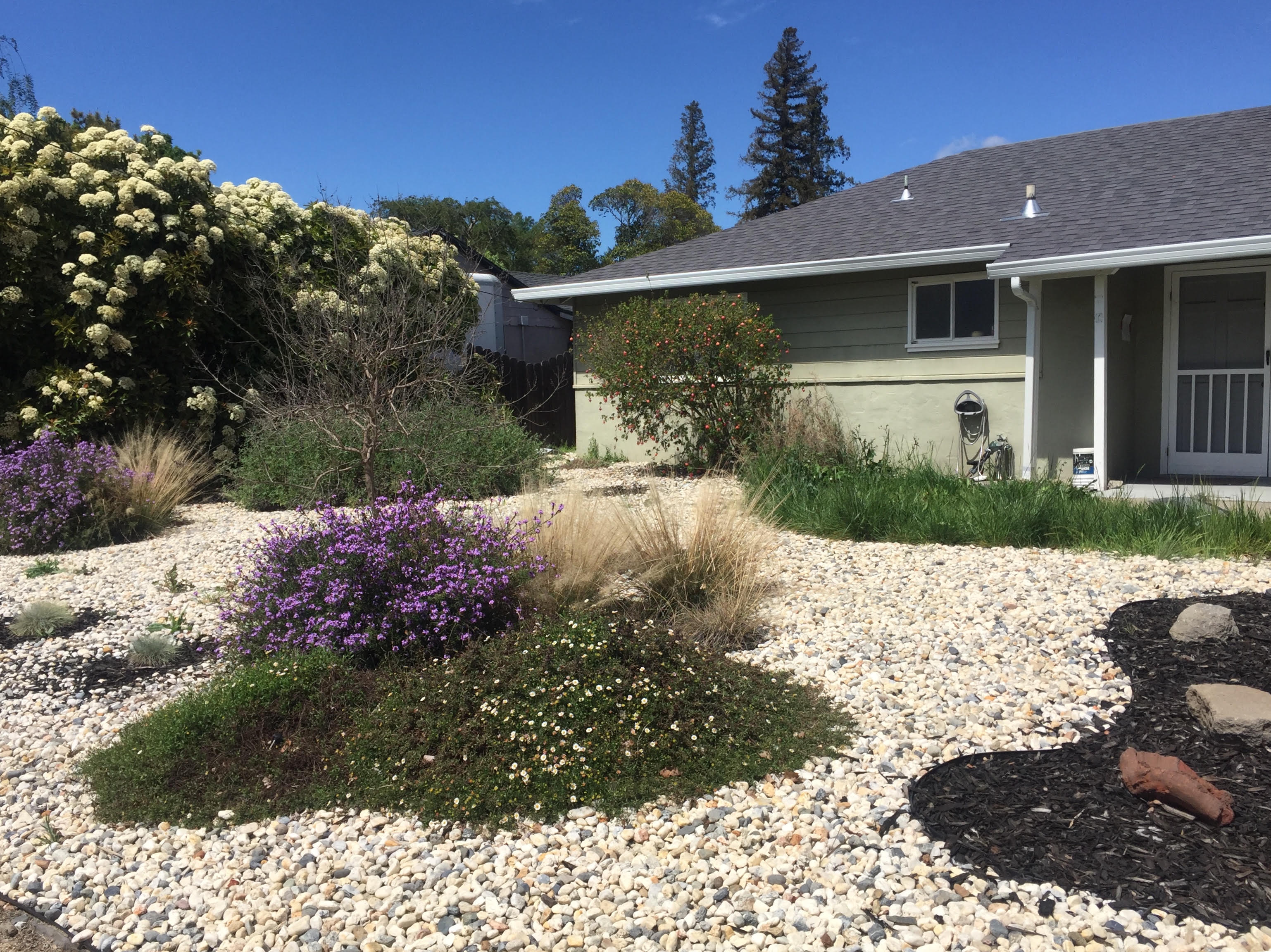187 Agnes Way – photo 3