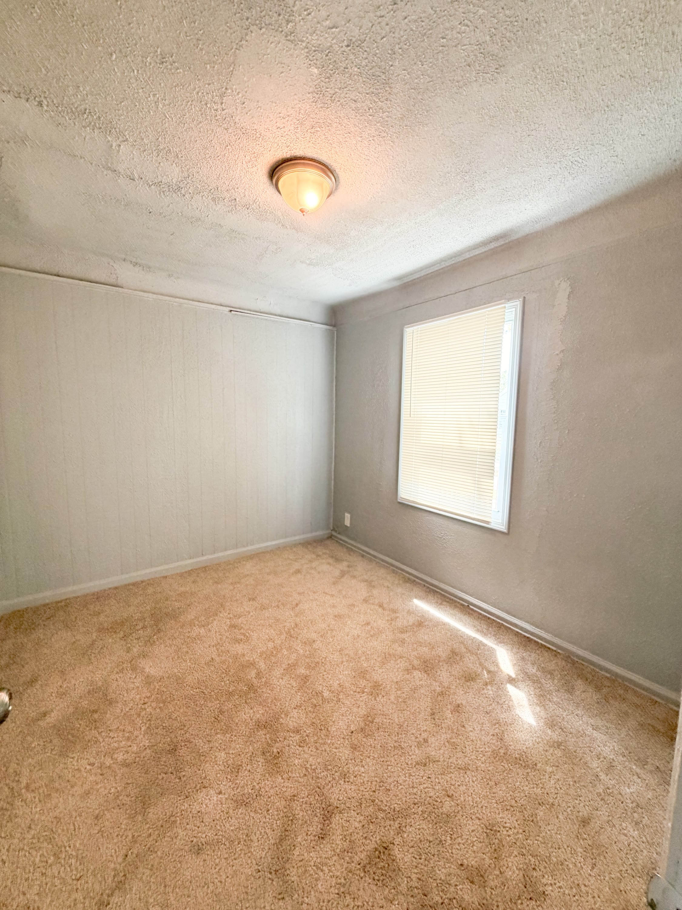 20058 Bloom Street – photo 4