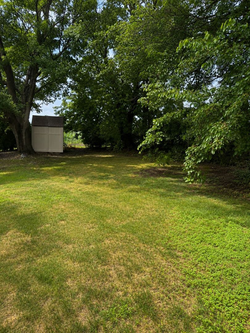 Affordable Ranch Home With Large Yard in Quiet Woodhull! – photo 5