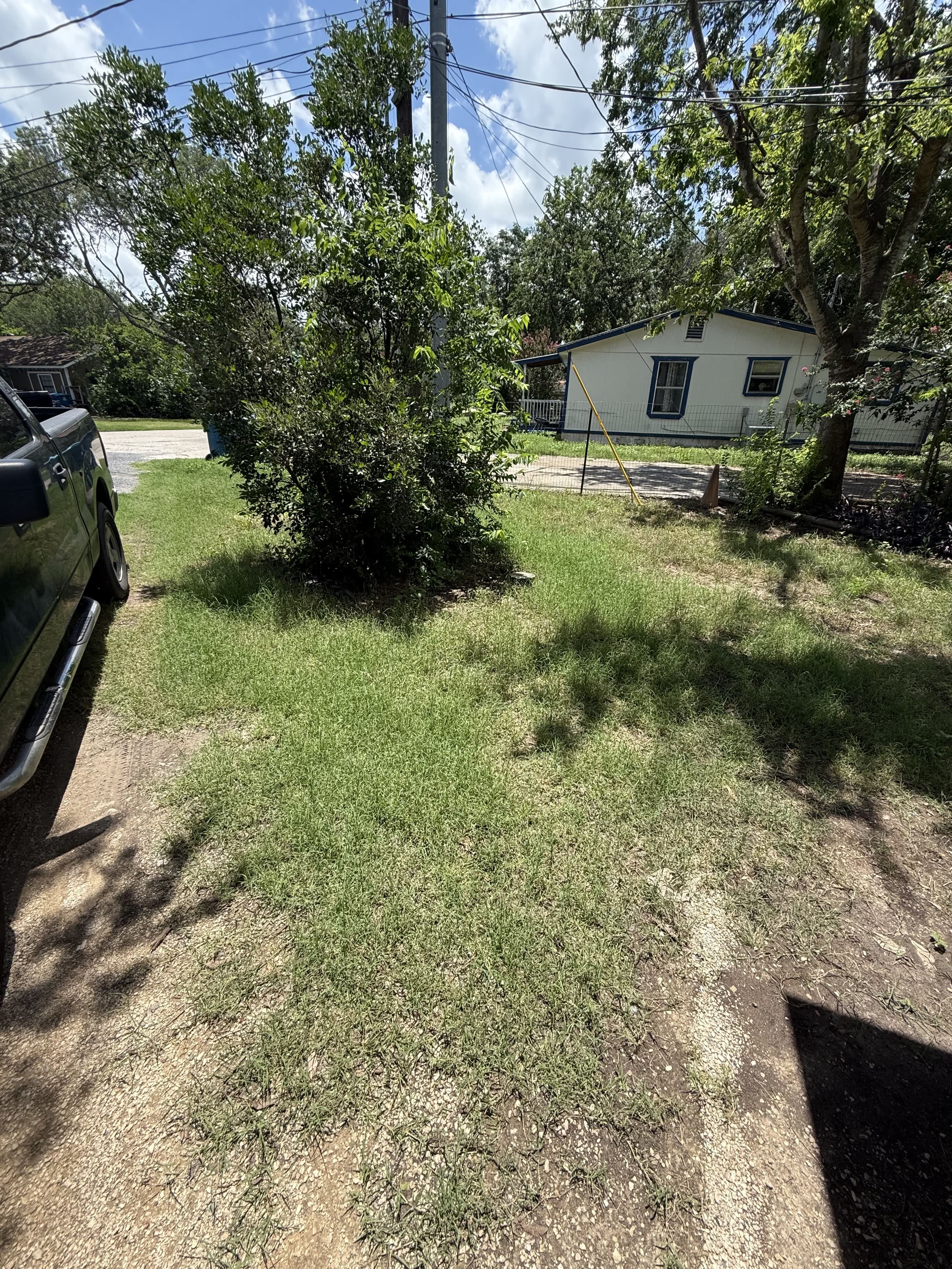 213 Bee Alley – photo 3