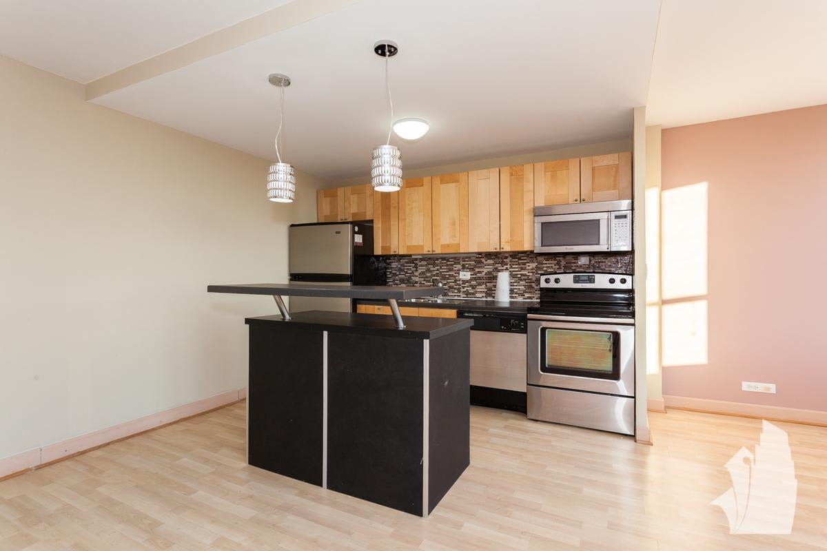 655 W Irving Park – photo 4