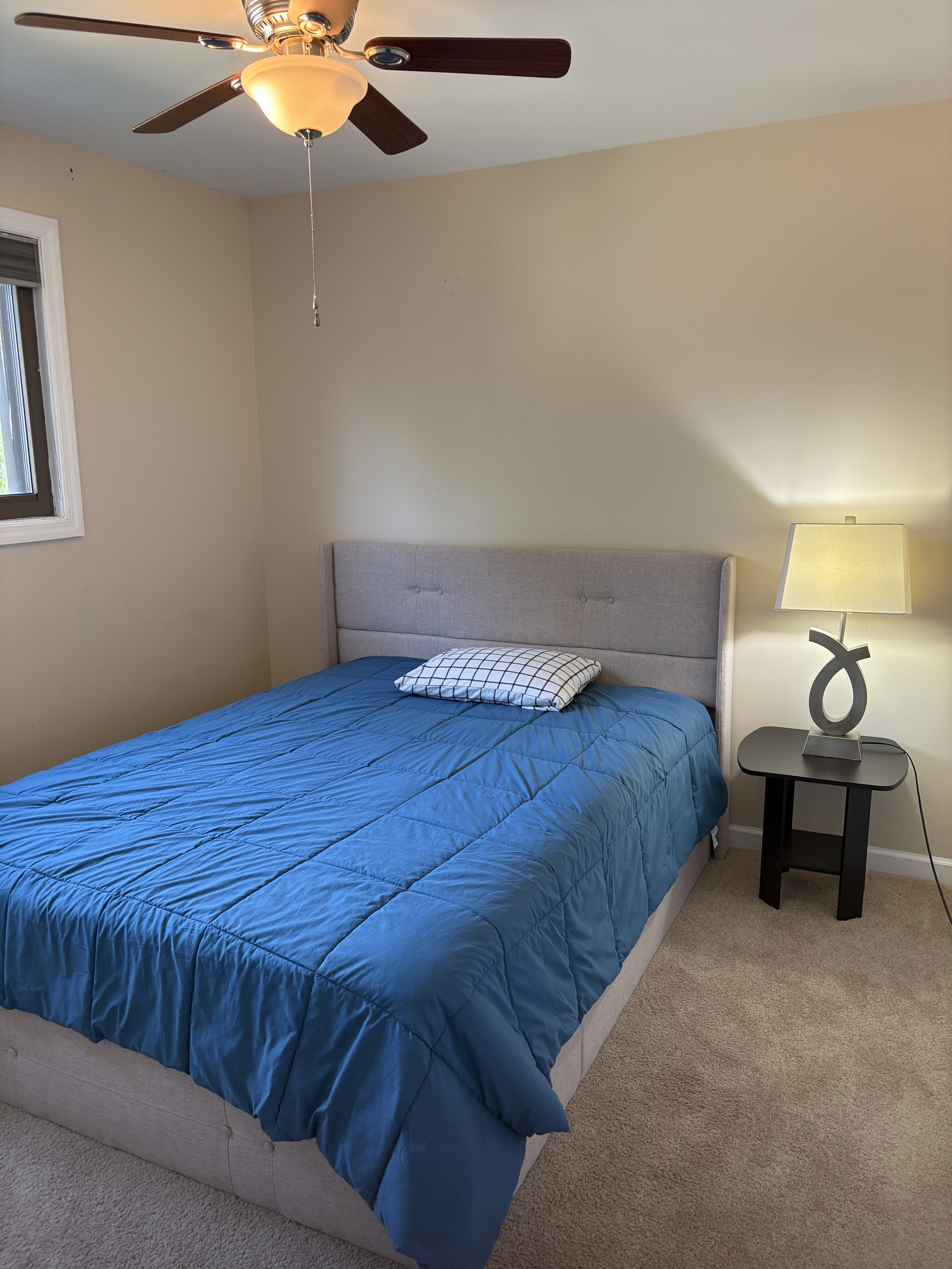 48 Dover Drive – photo 5