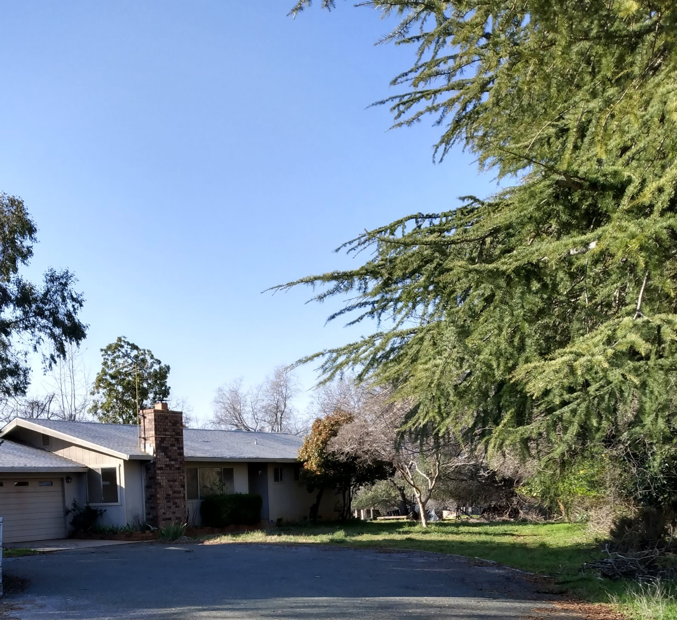1401 Hamblen Way – photo 1