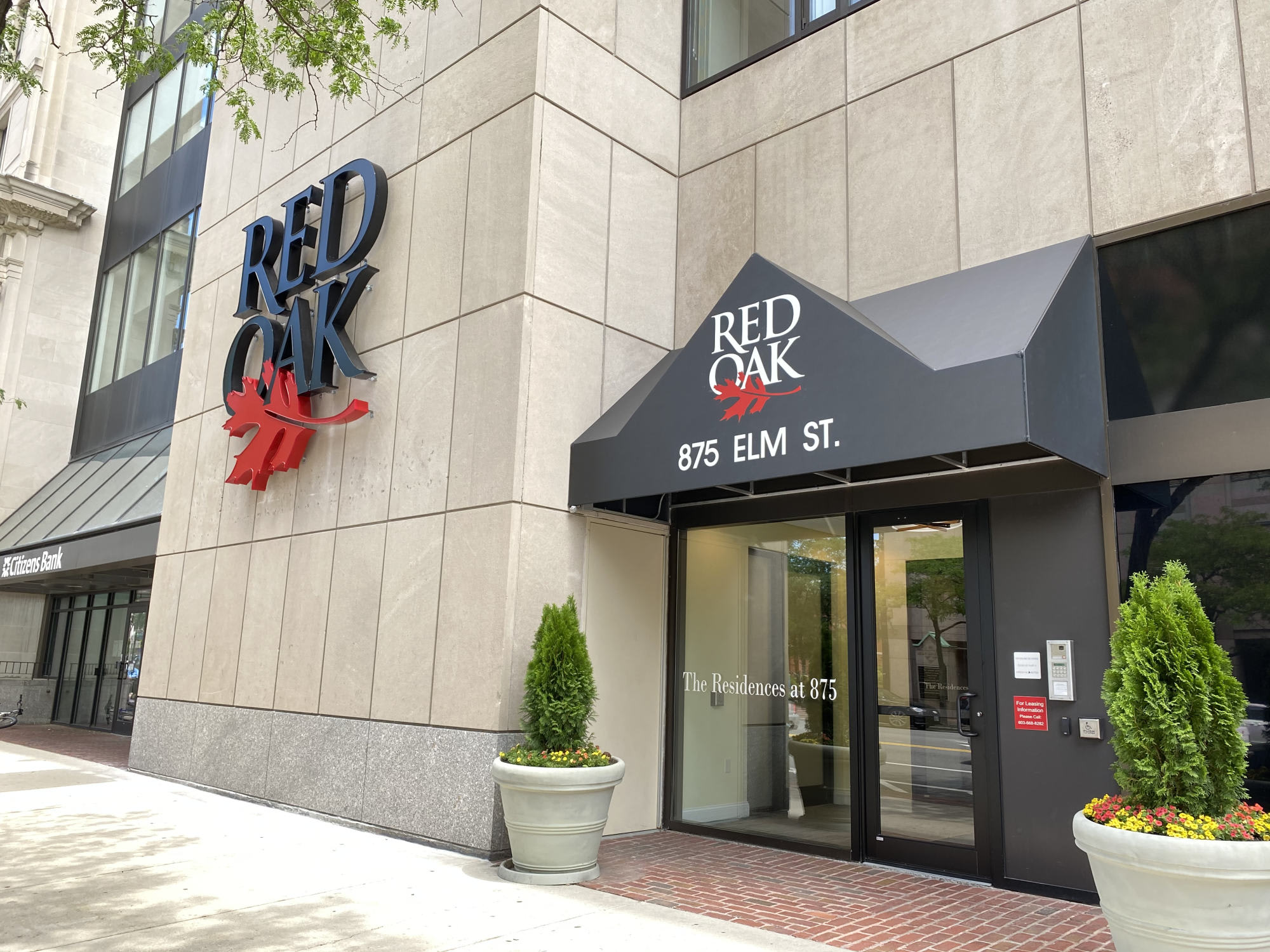 Red Oak at 875 Elm Street – photo 4