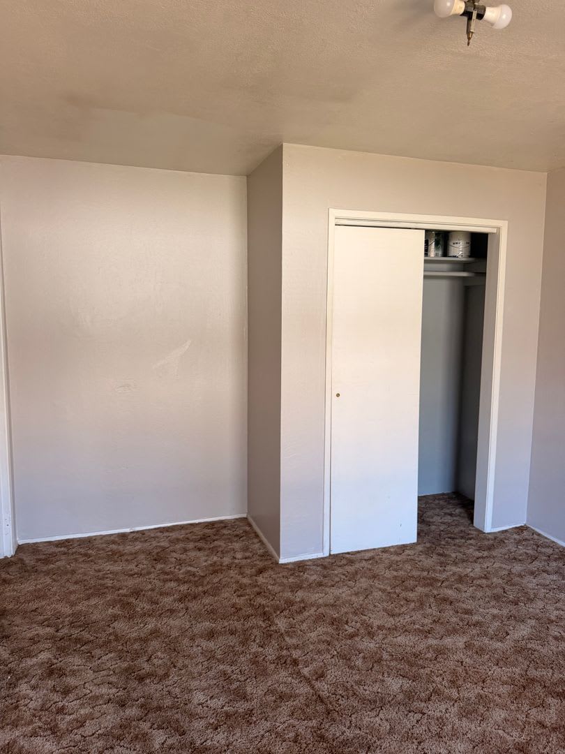 24 Short St – photo 2