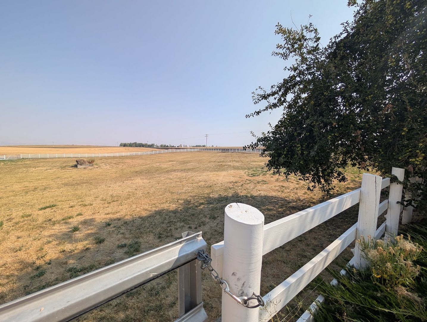 Picturesque Waha Farm House with 2 Horse Pastures – photo 3