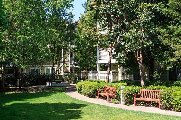 Amador Village – photo 4