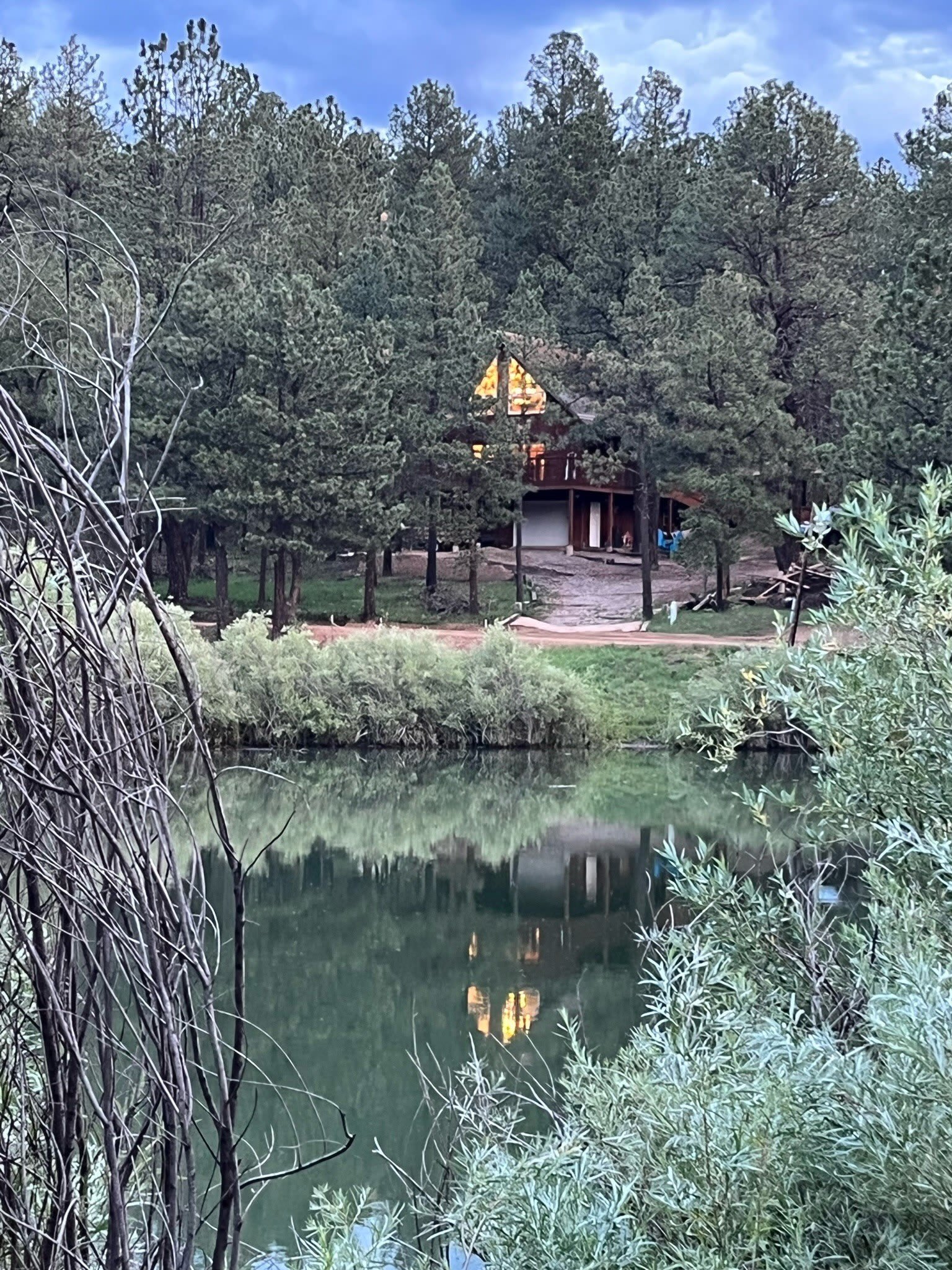 16 Forest Drive W – photo 5