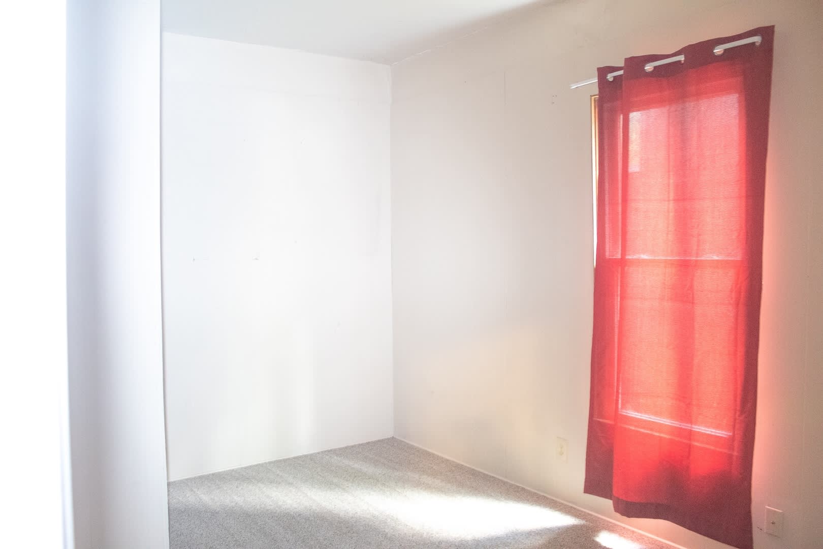 4 Bed, 1 Bath On Campus – photo 5