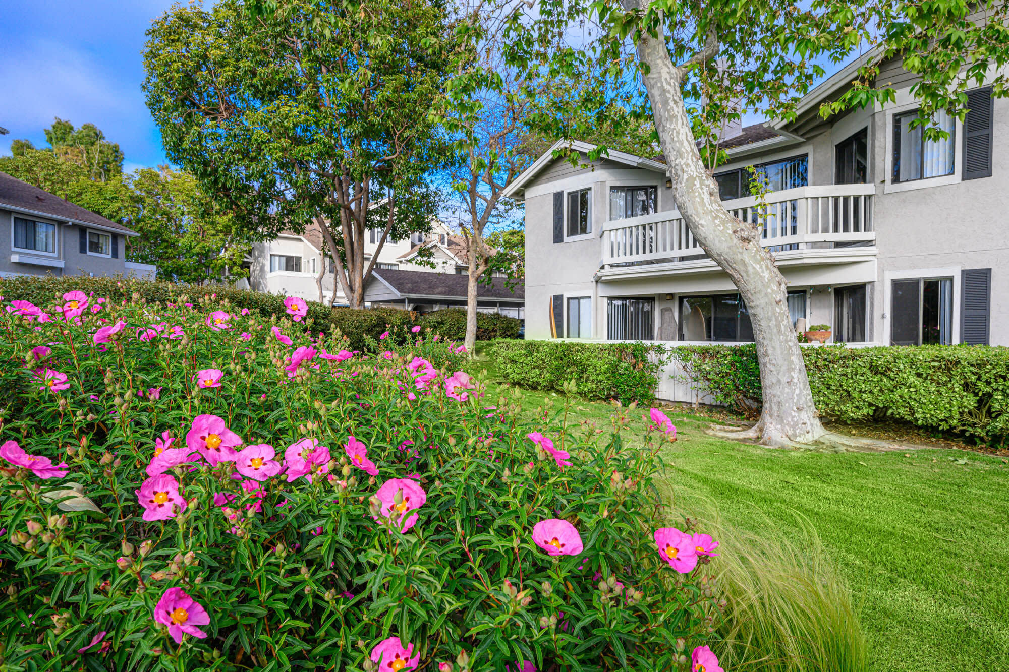 Flower Fields Condominiums – photo 5