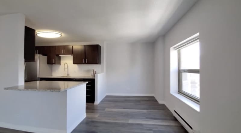 61 W Chestnut – photo 2