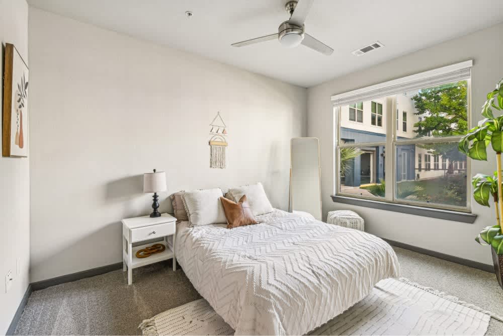 Lofts on Main – photo 4
