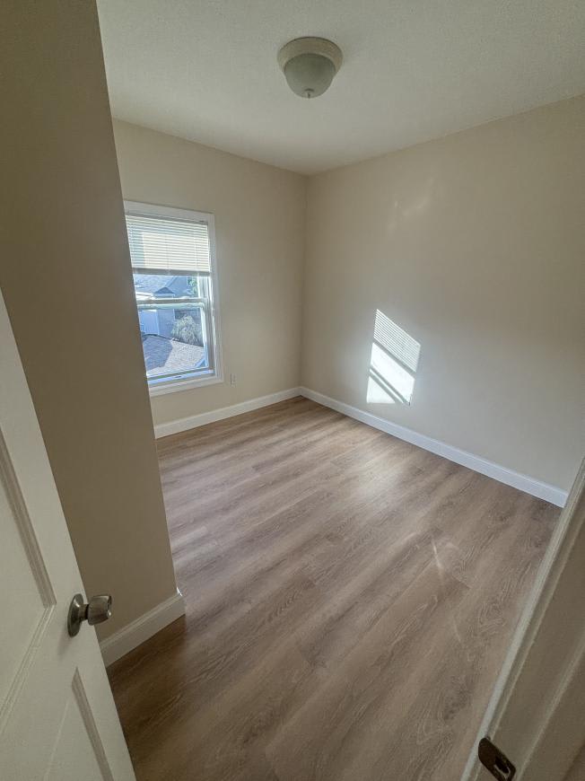 40 Walnut – photo 5