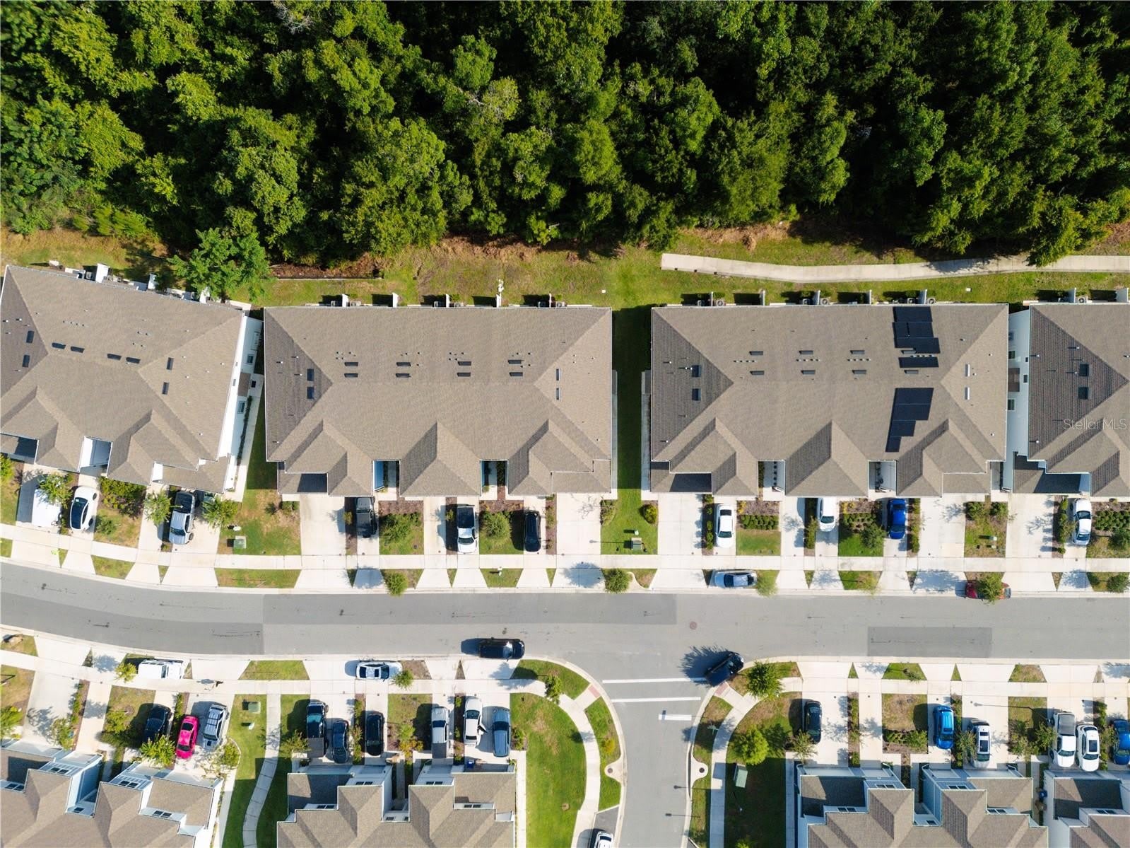 4609 SPARKLING SHELL Avenue – photo 3