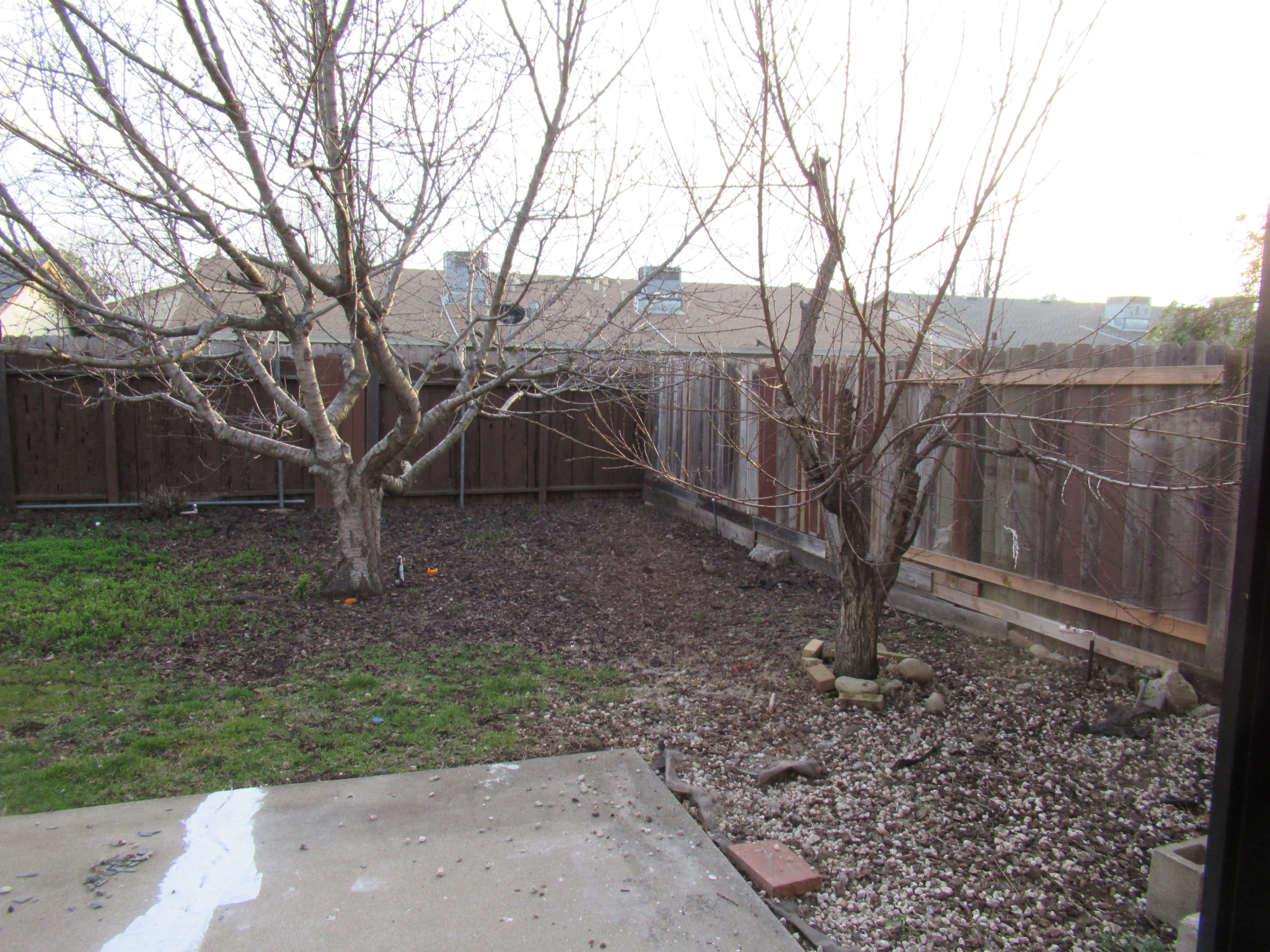 1536 Bridge St – photo 1