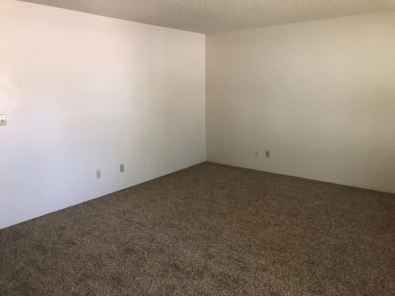 4971 Chukar Drive – photo 3
