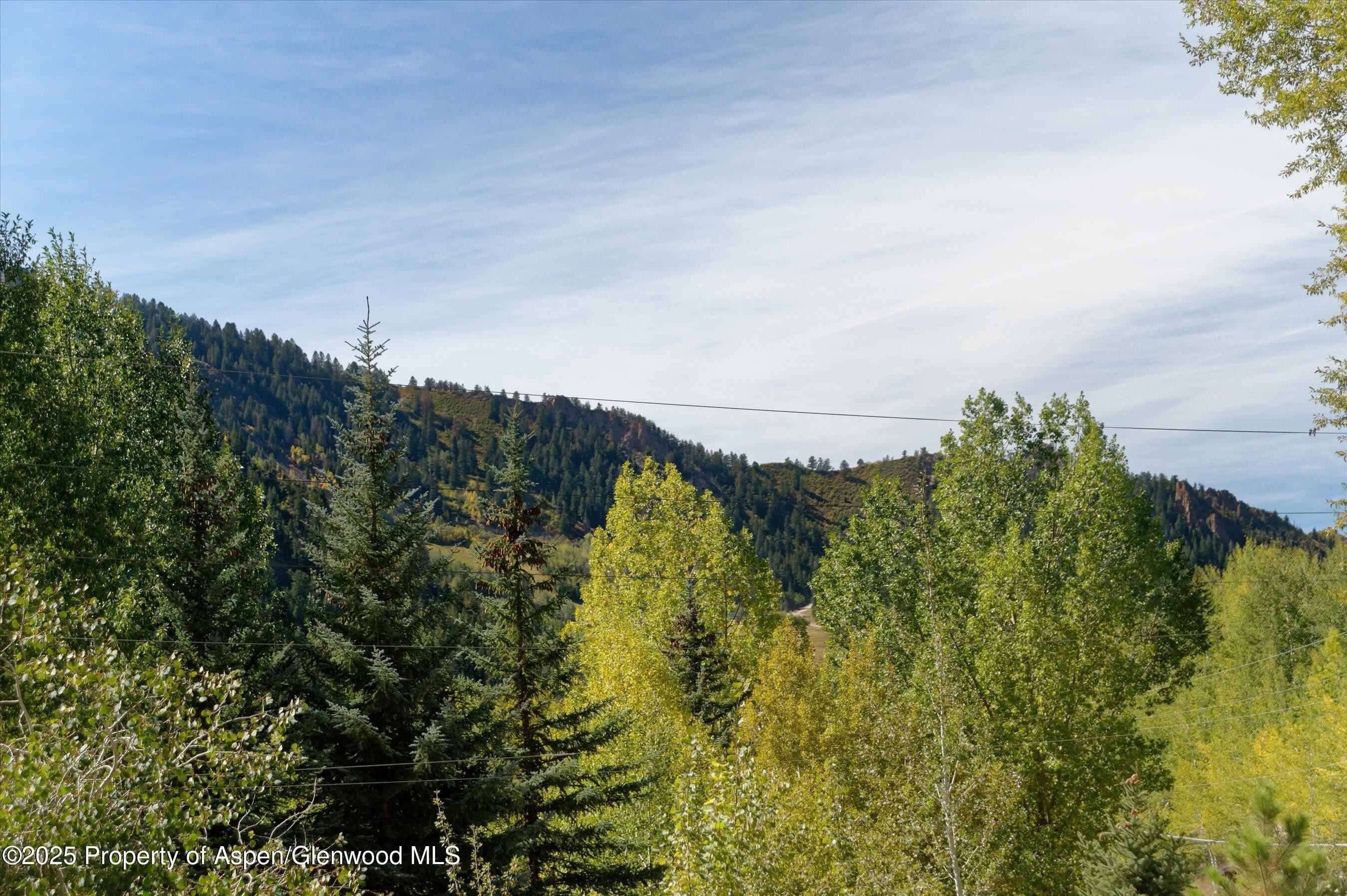 39 Roaring Fork Drive – photo 5