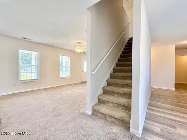 1120 Ben Williams Road – photo 5