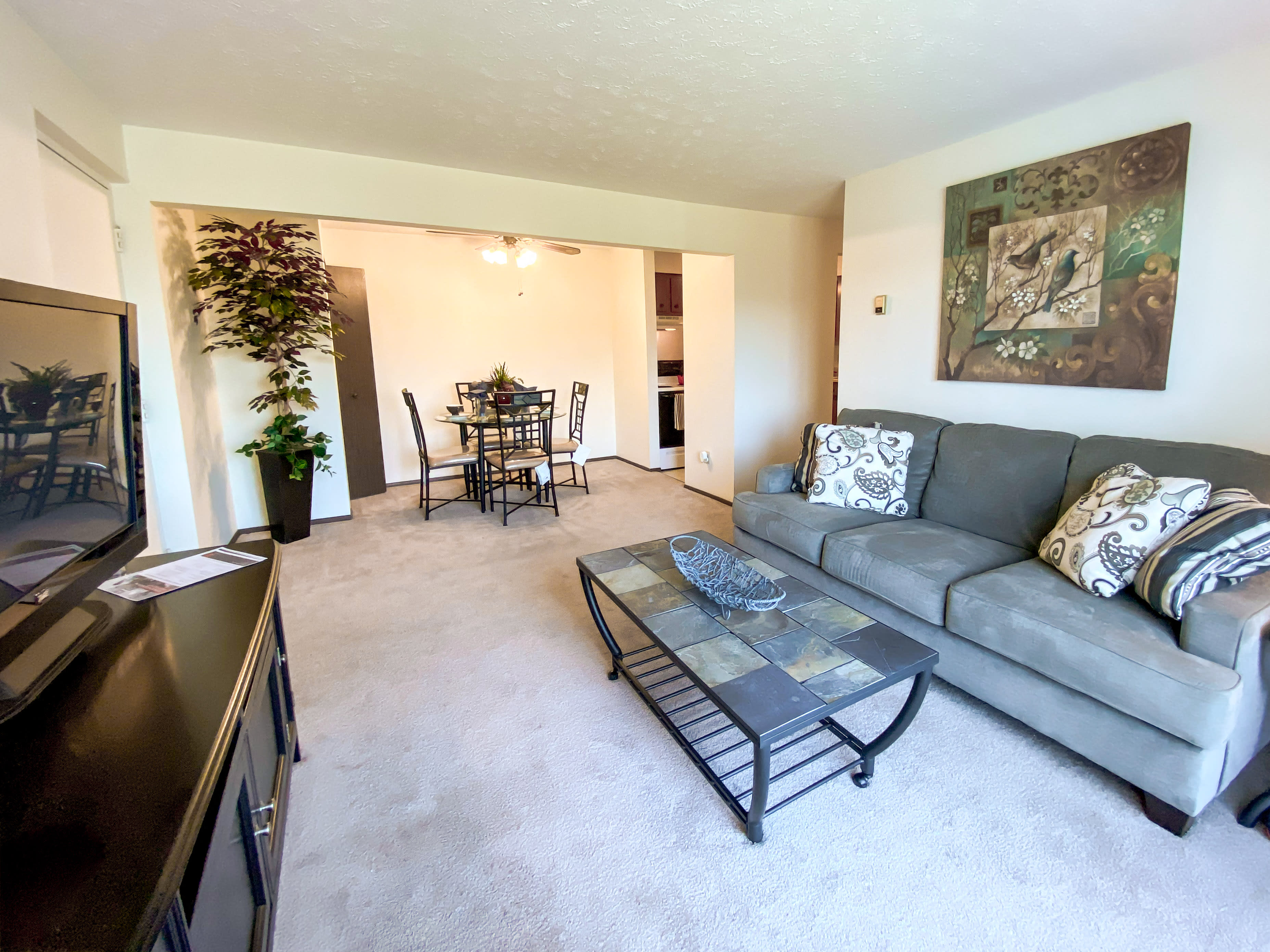 Condor Garden Apartments – photo 1