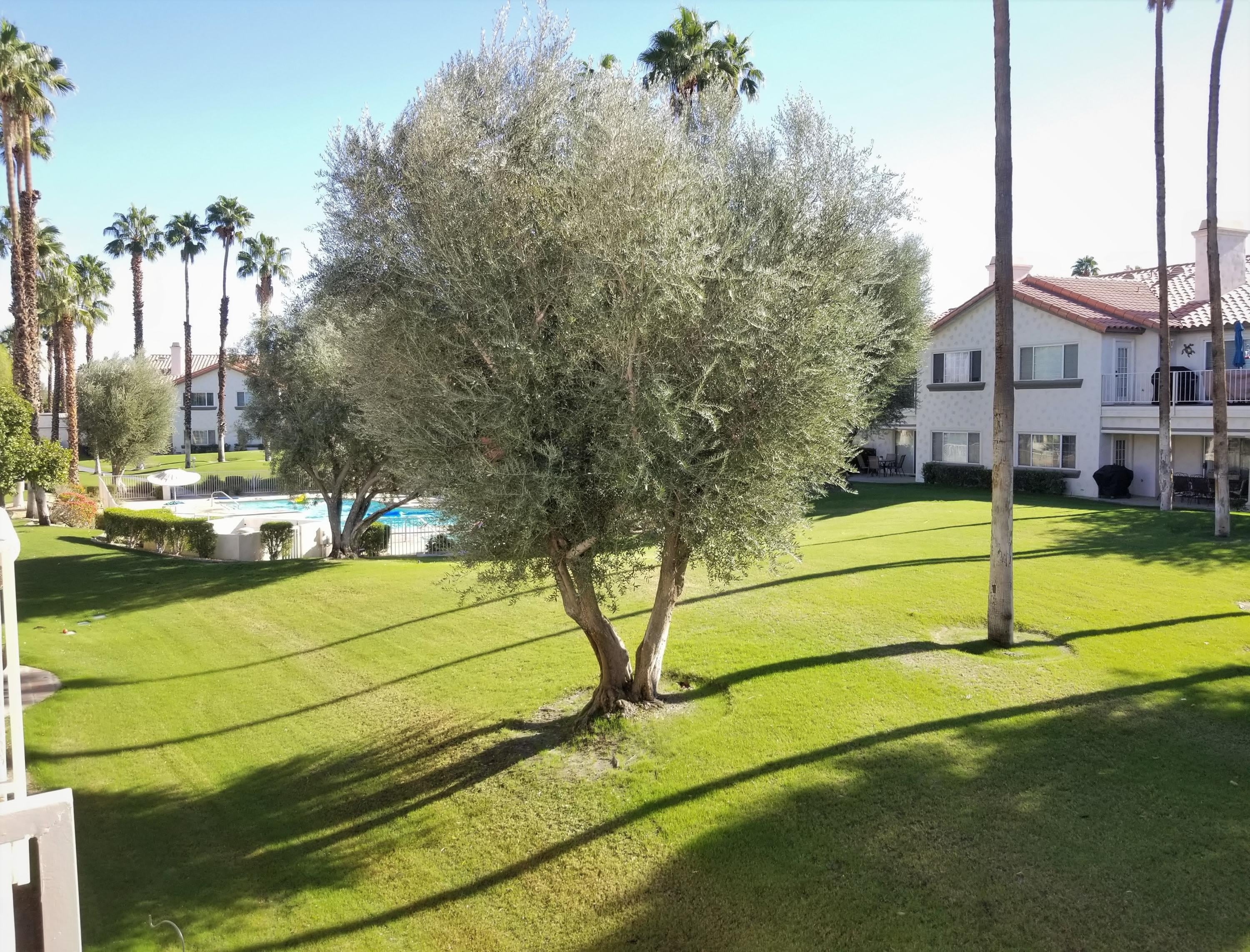 319 Vista Royale Drive – photo 4