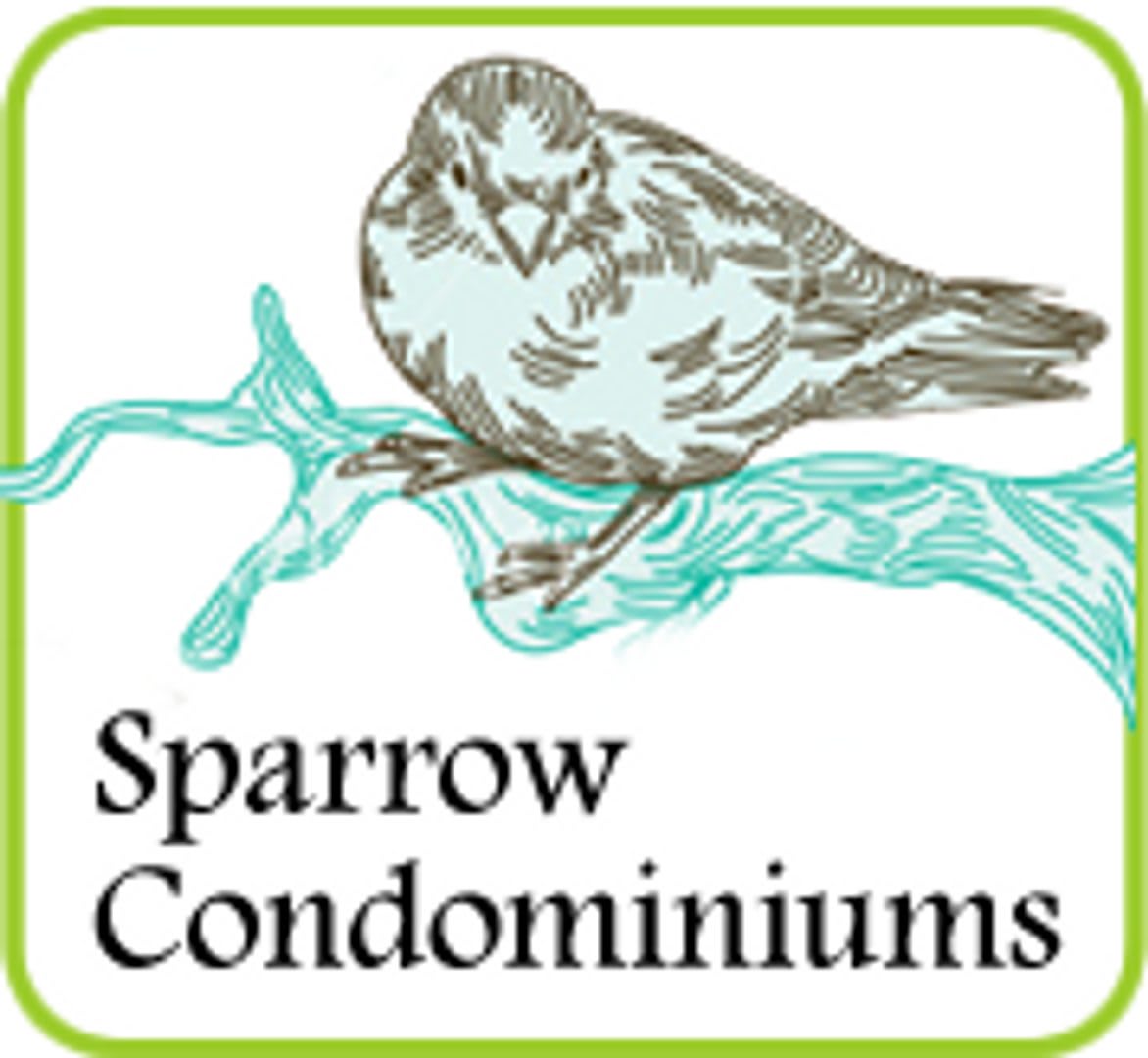 Sparrow 1/1 – photo 1