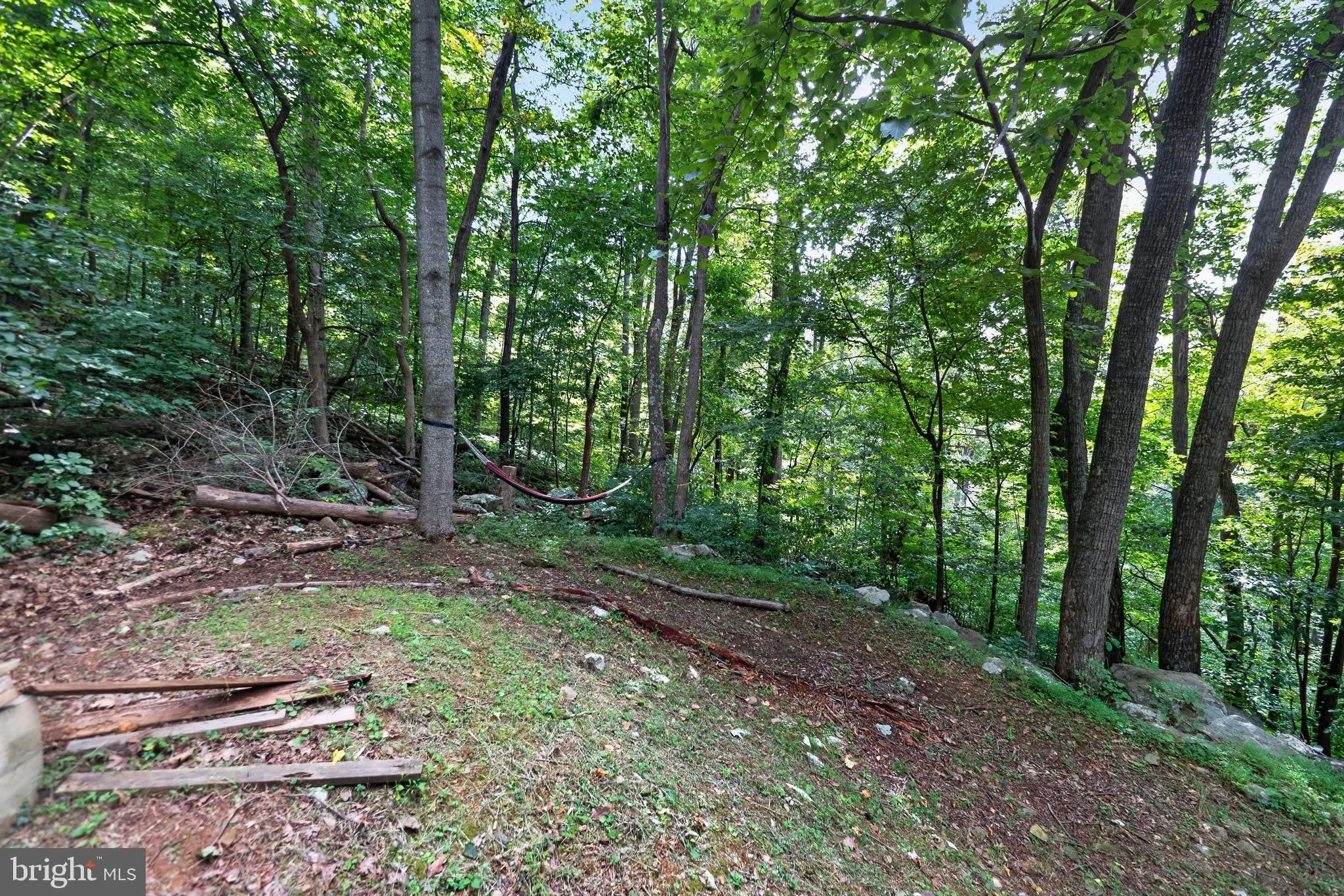 261 ROCKY SPRING Lane – photo 5