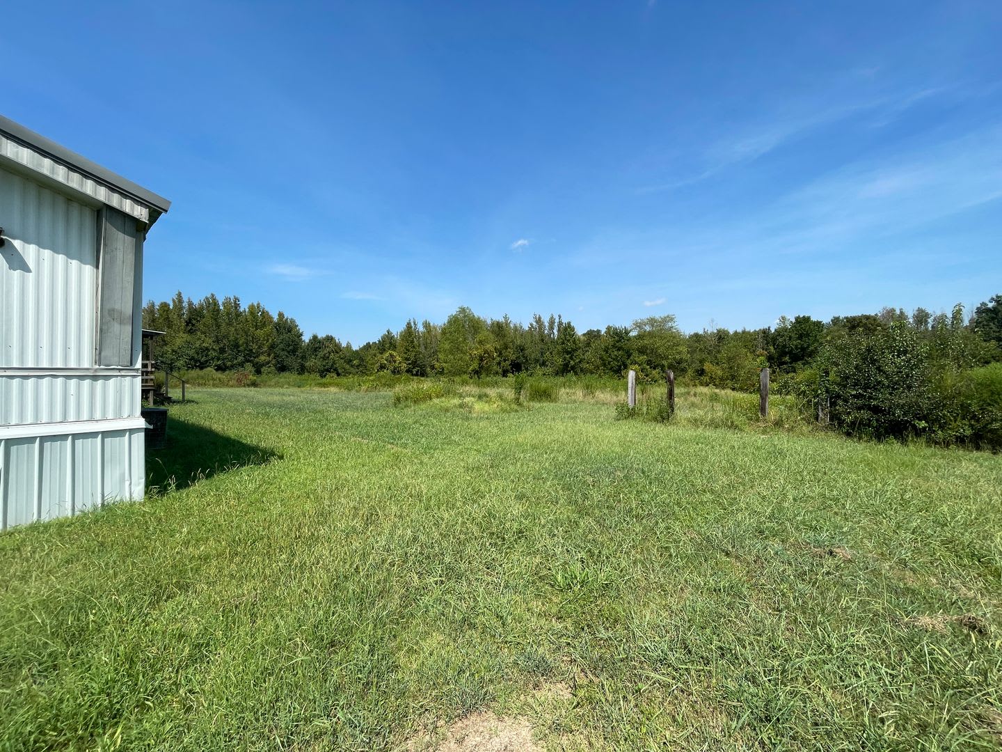 A DEER HUNTER'S DREAM with EXPANSIVE 10.41-acre lot – photo 5