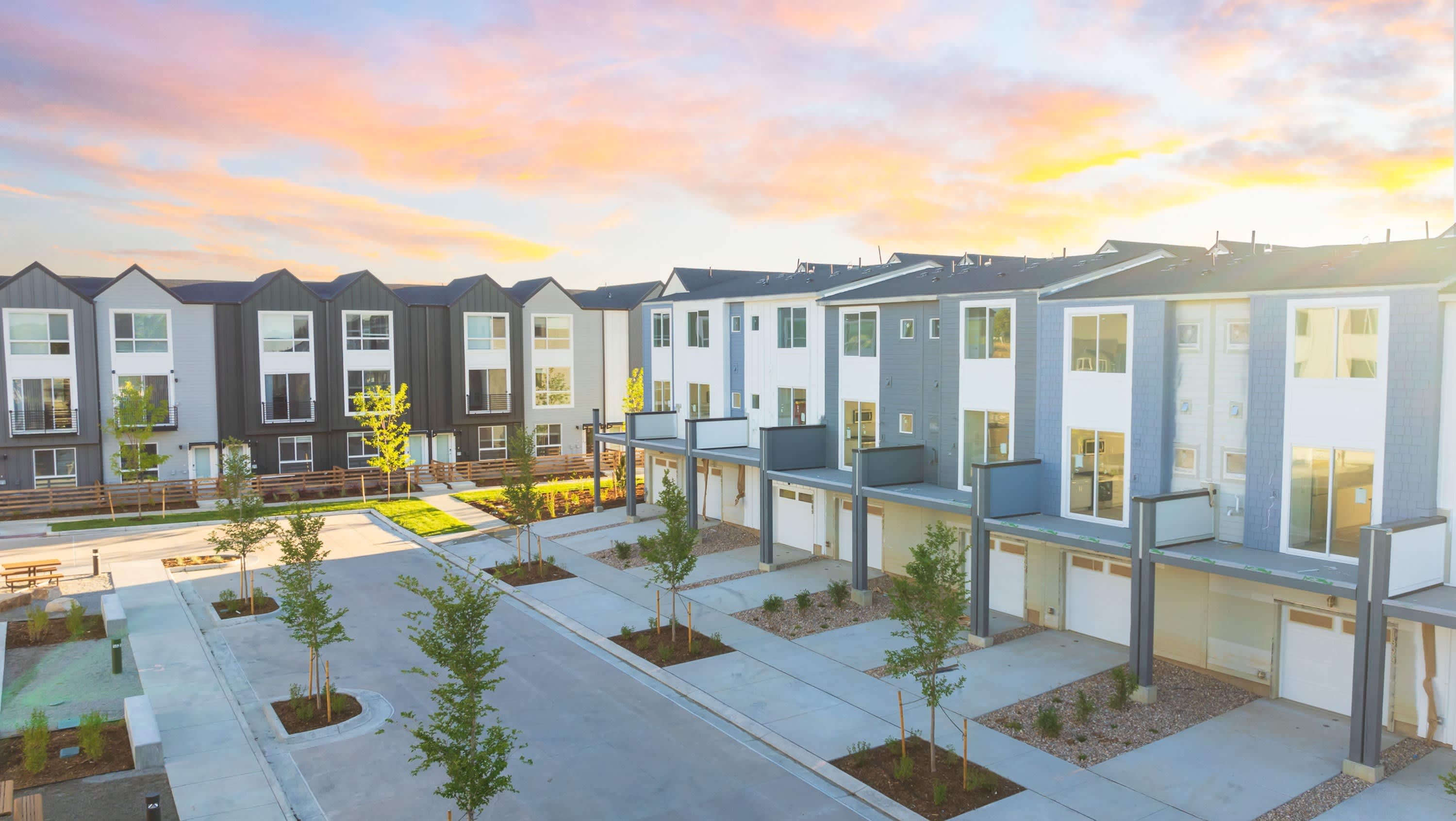 Lupine Longmont – photo 2