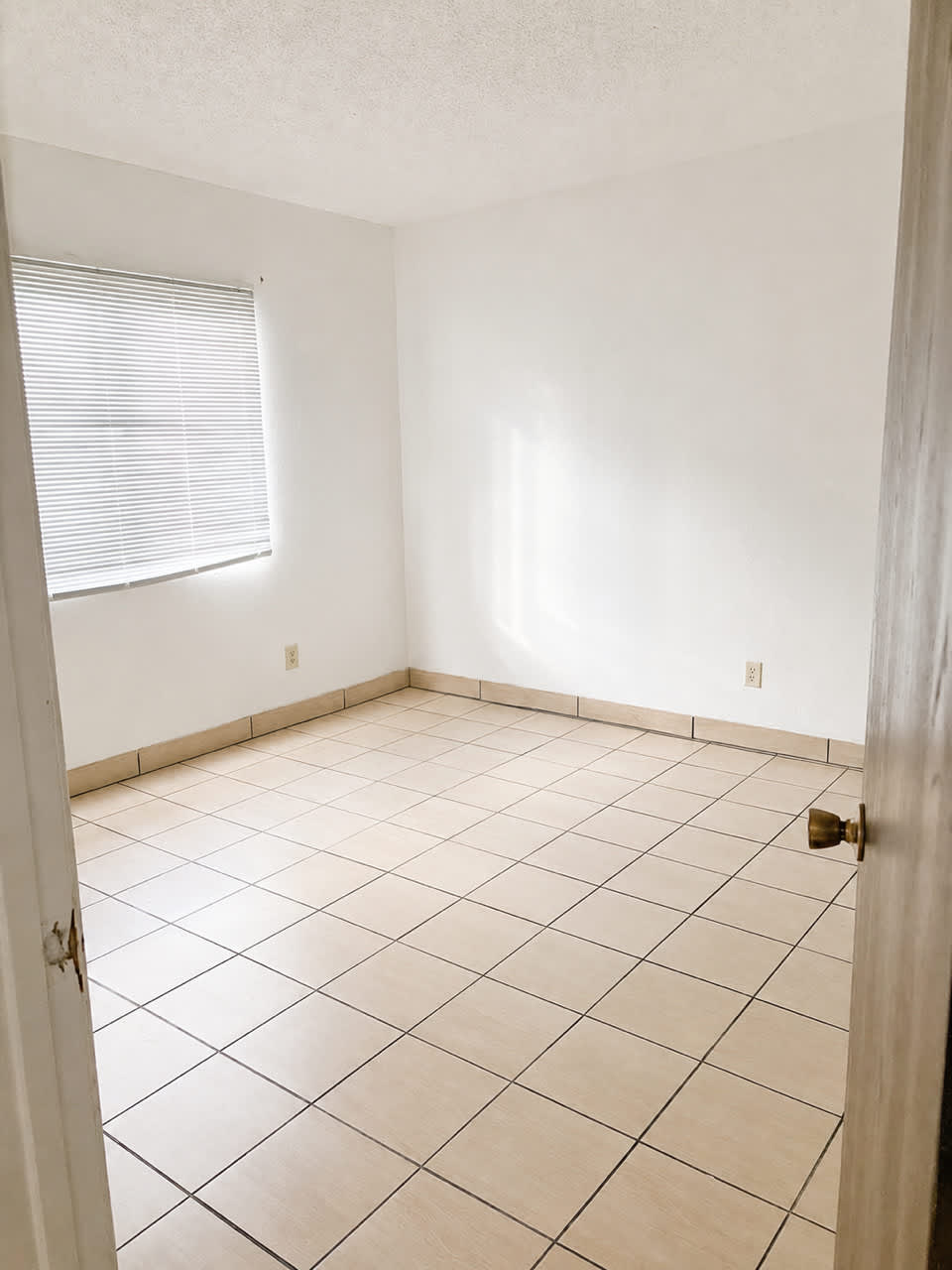 440 Sendero Loro – photo 4