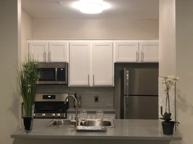 CitiView Terrace Apartments – photo 3