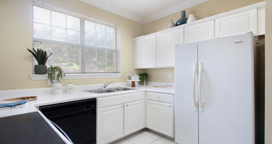 Saddlebrook Apartments – photo 3